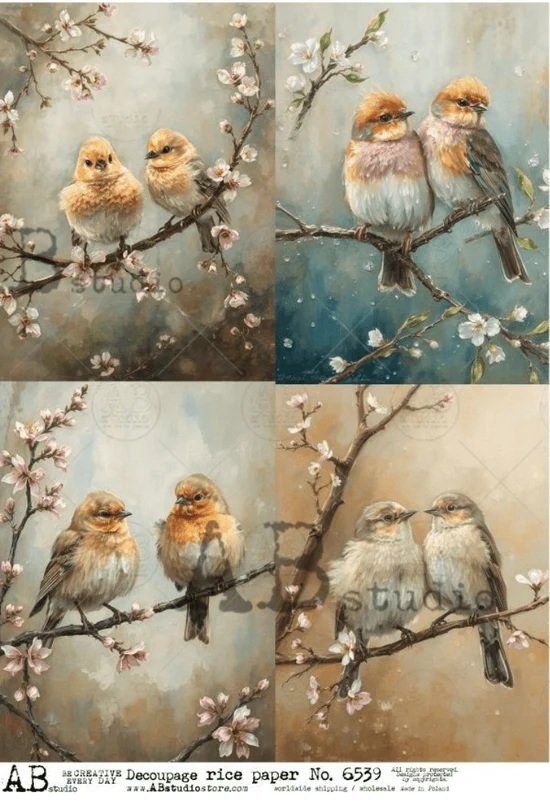 birds in blossom quad 6539.jpg