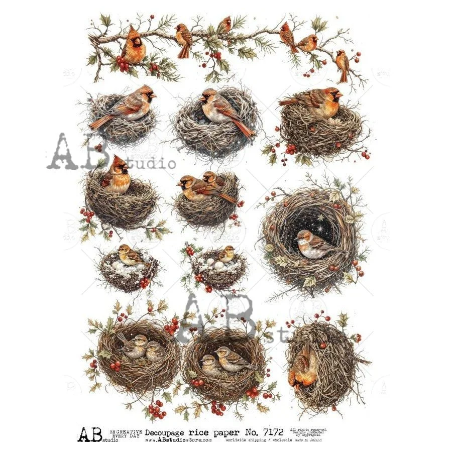 a4-cardinal-nests-winter-sprigs-ab-studios-7172-8787929.webp