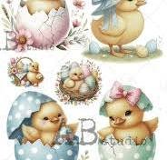 Adorable chics in eggs.jpg