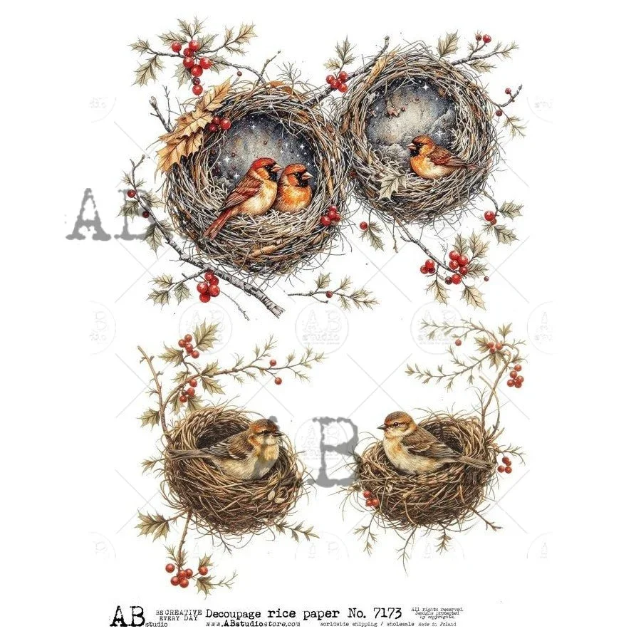 a4-winter-cardinal-nests-ab-studios-7173-2180502.webp