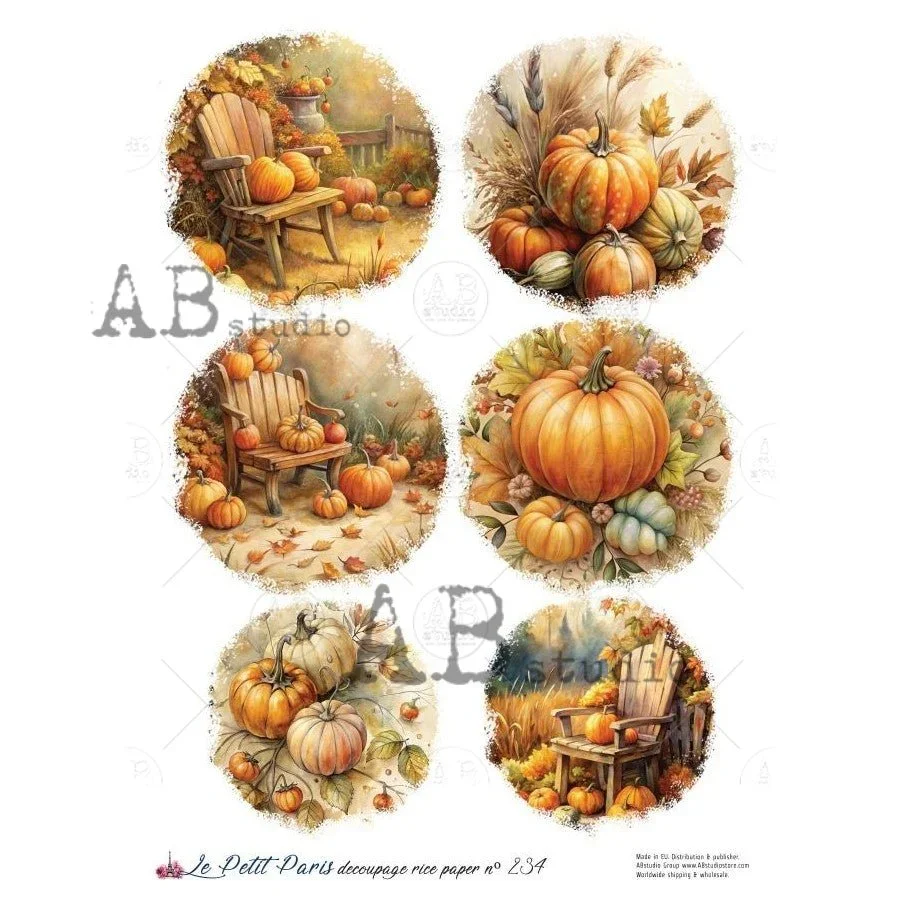 a4-lpp-pumpkin-porch-rounds-paper-le-petit-paris-234-5196493.webp