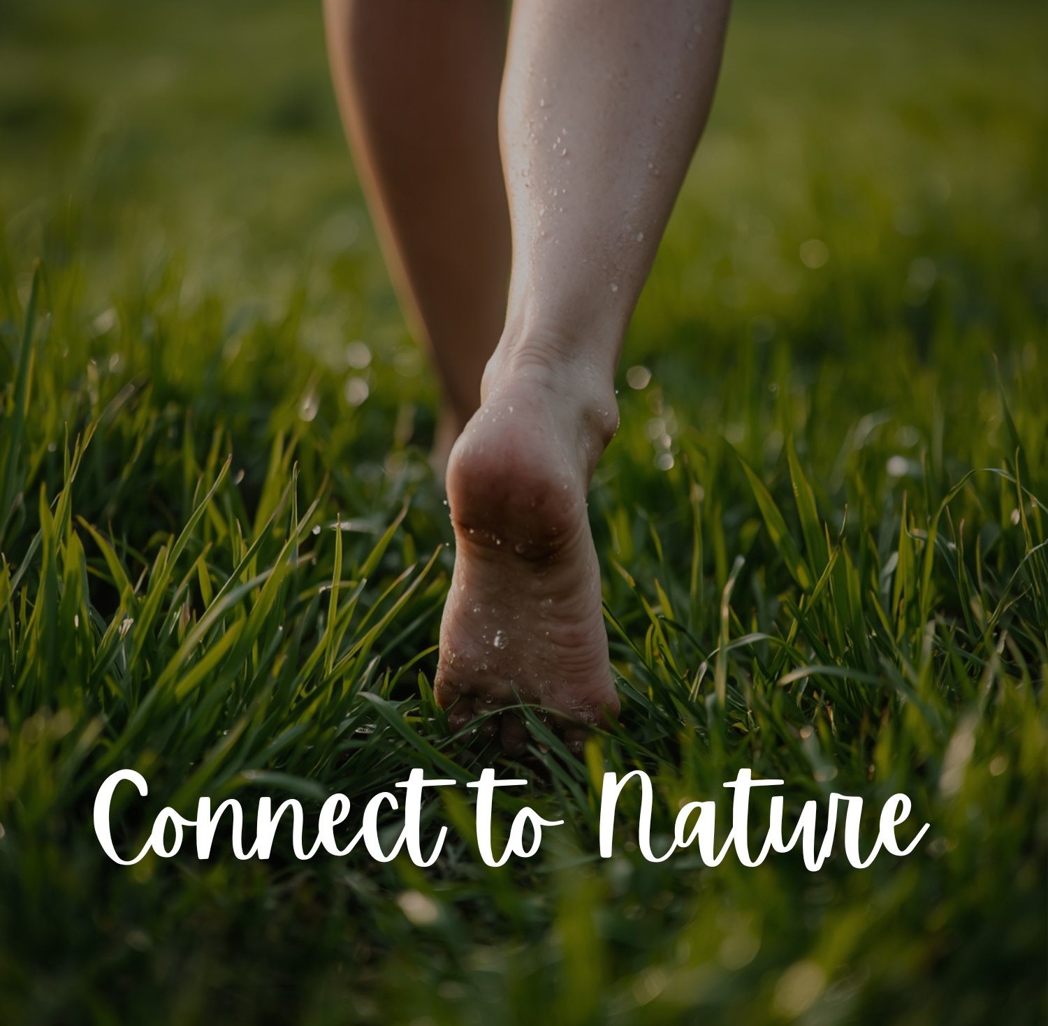 Simple Nature Rituals