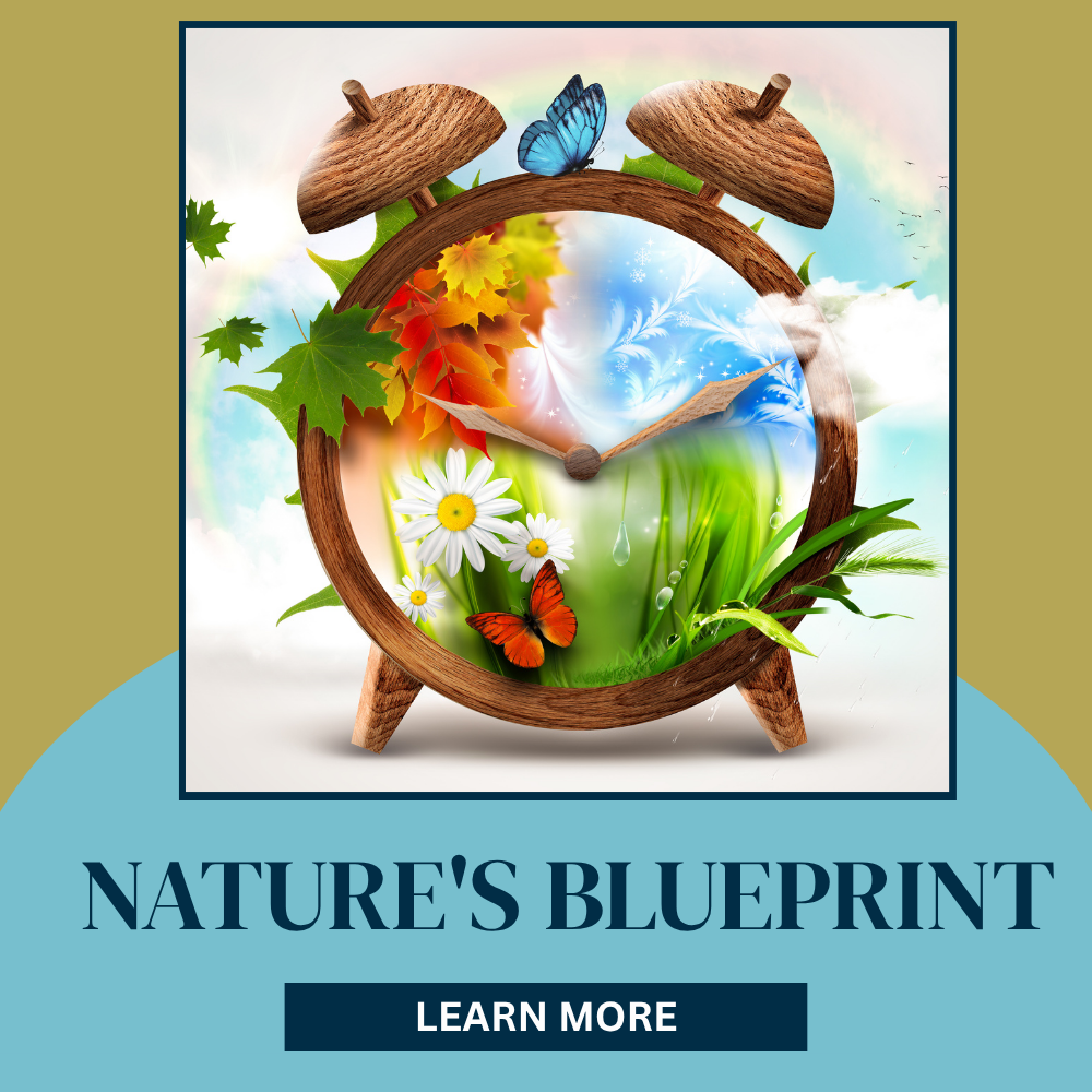 With this 3-in-1 bundle, you will:

Align your daily habits with the natural world for sustained energy and balance

Uncover the root causes of digestive discomfort and learn how to address them naturally

Access personalised meal plans for Vata, Pit