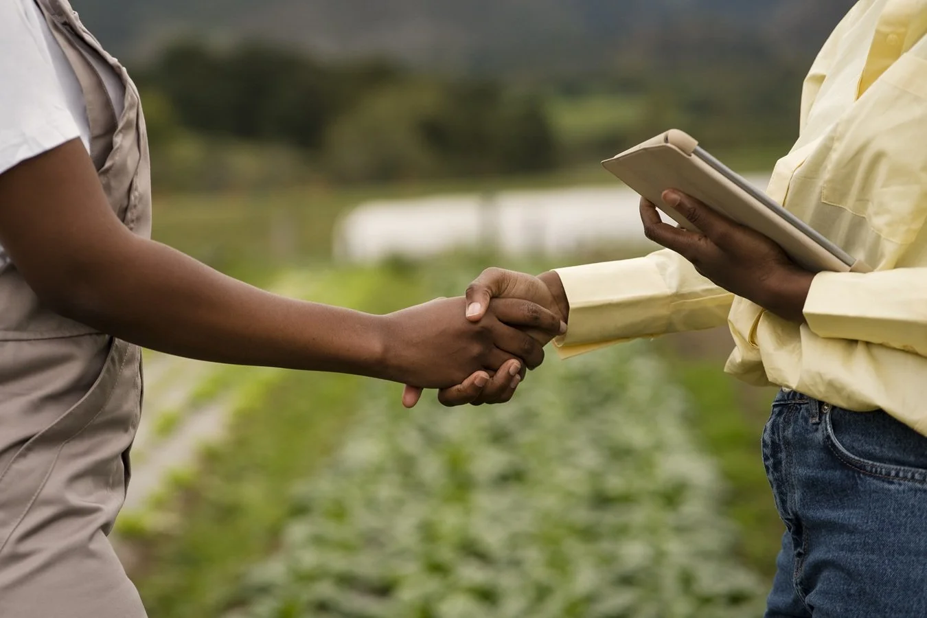 Éducation transformative : des bourses 100% financées pour les futurs leaders agricoles africains