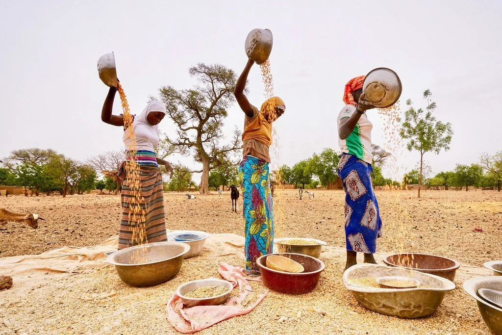 Afrique de l’Ouest : la CEDEAO réajuste sa stratégie contre l’insécurité alimentaire