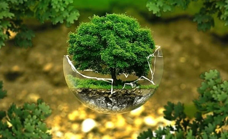 Biodiversité : lancement de BIOFIN à Lomé pour relier nature, économie et finance durable