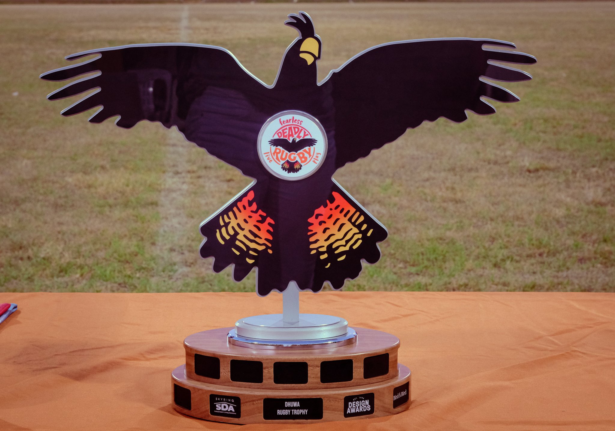 DSCF8536.jpg