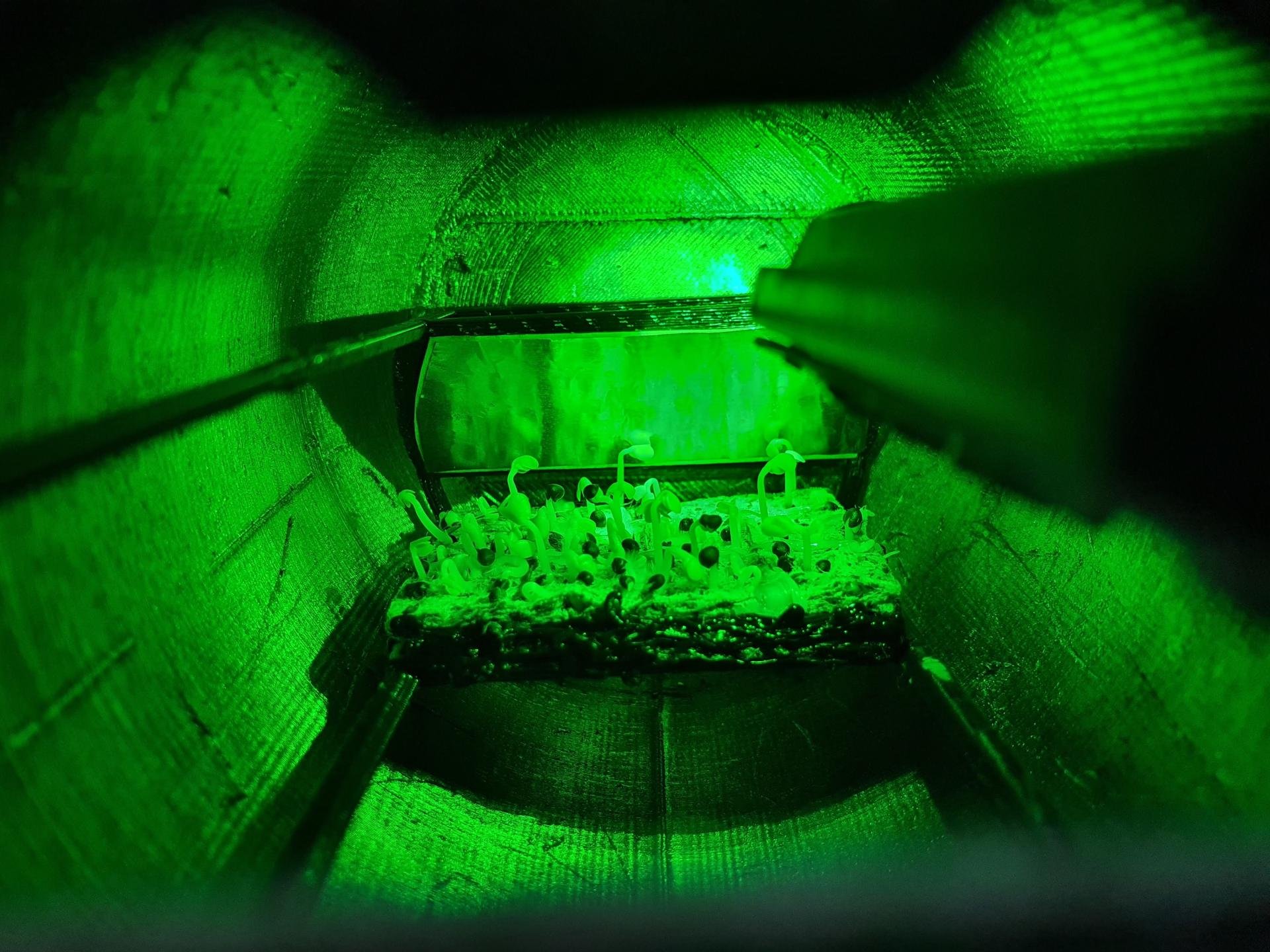 Growing a new future on the Moon