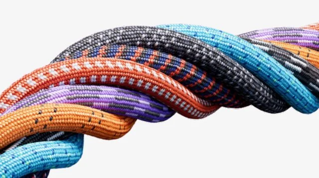ropes twisted together representing different DISC styles collaborating and stronger together
