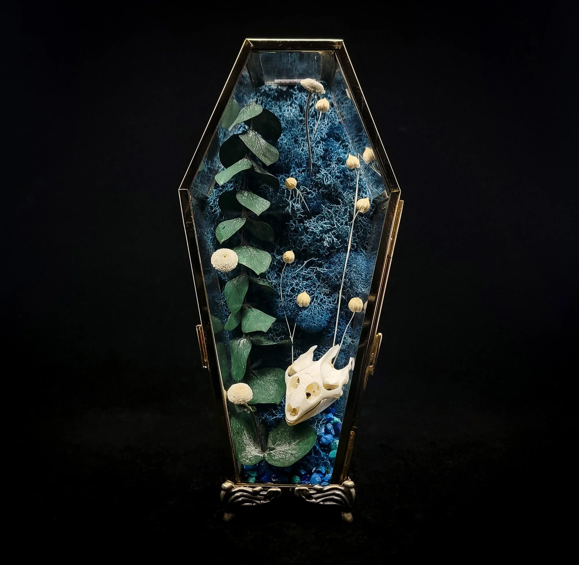 Turtle Coffins_Floral-Cloche_All.jpg