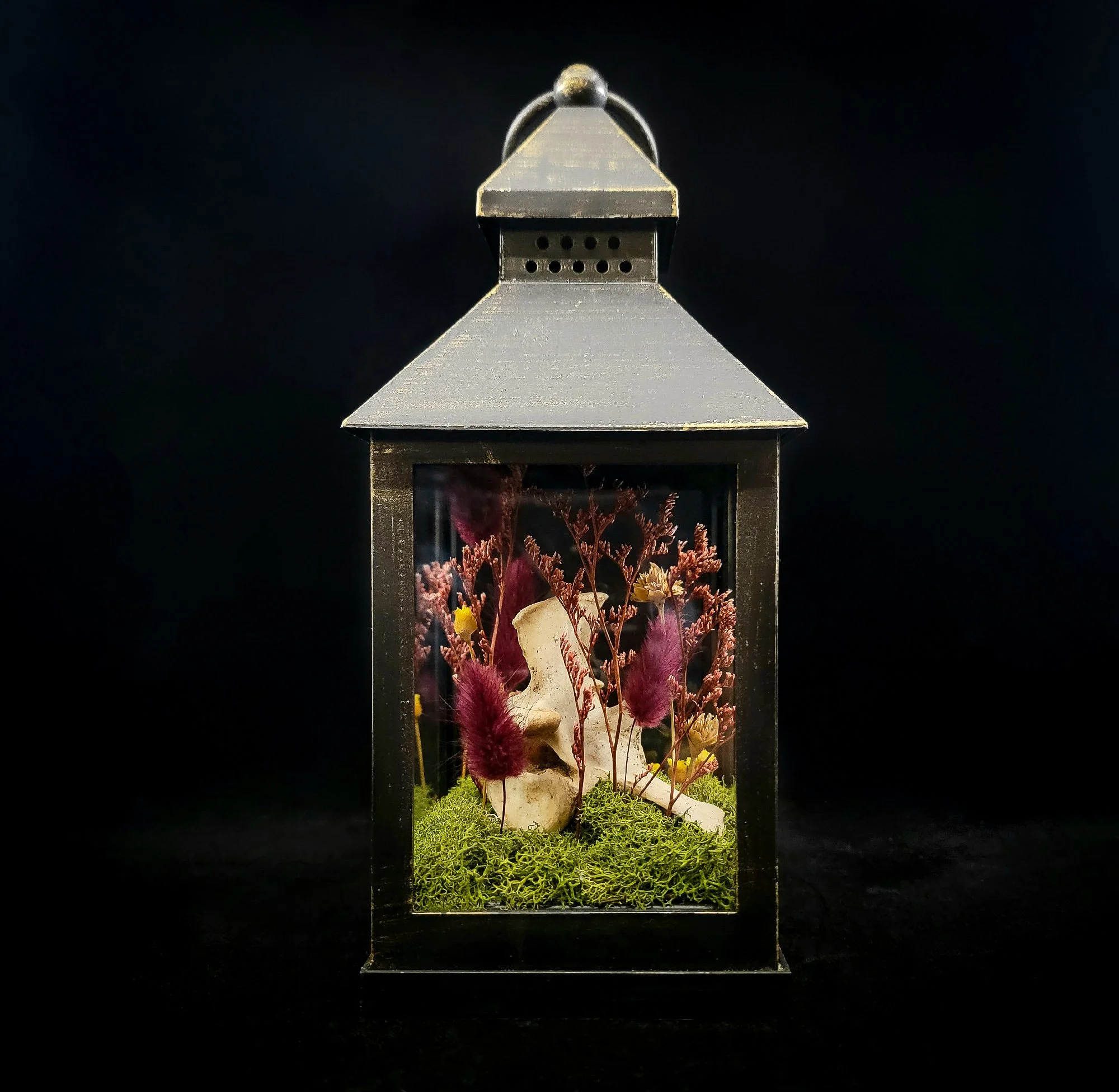 Cow Vertebrae_Cloche-Lantern_B.jpg