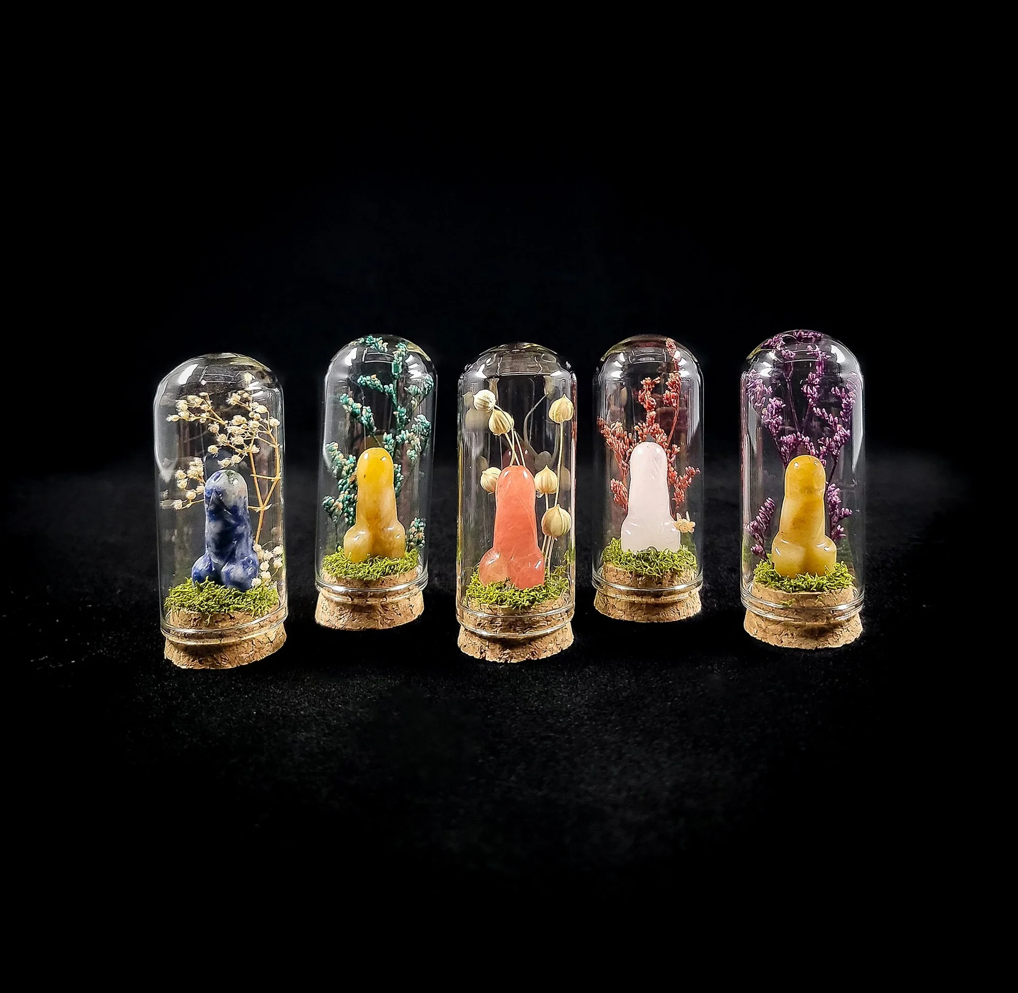 Got My Dick In A Jar