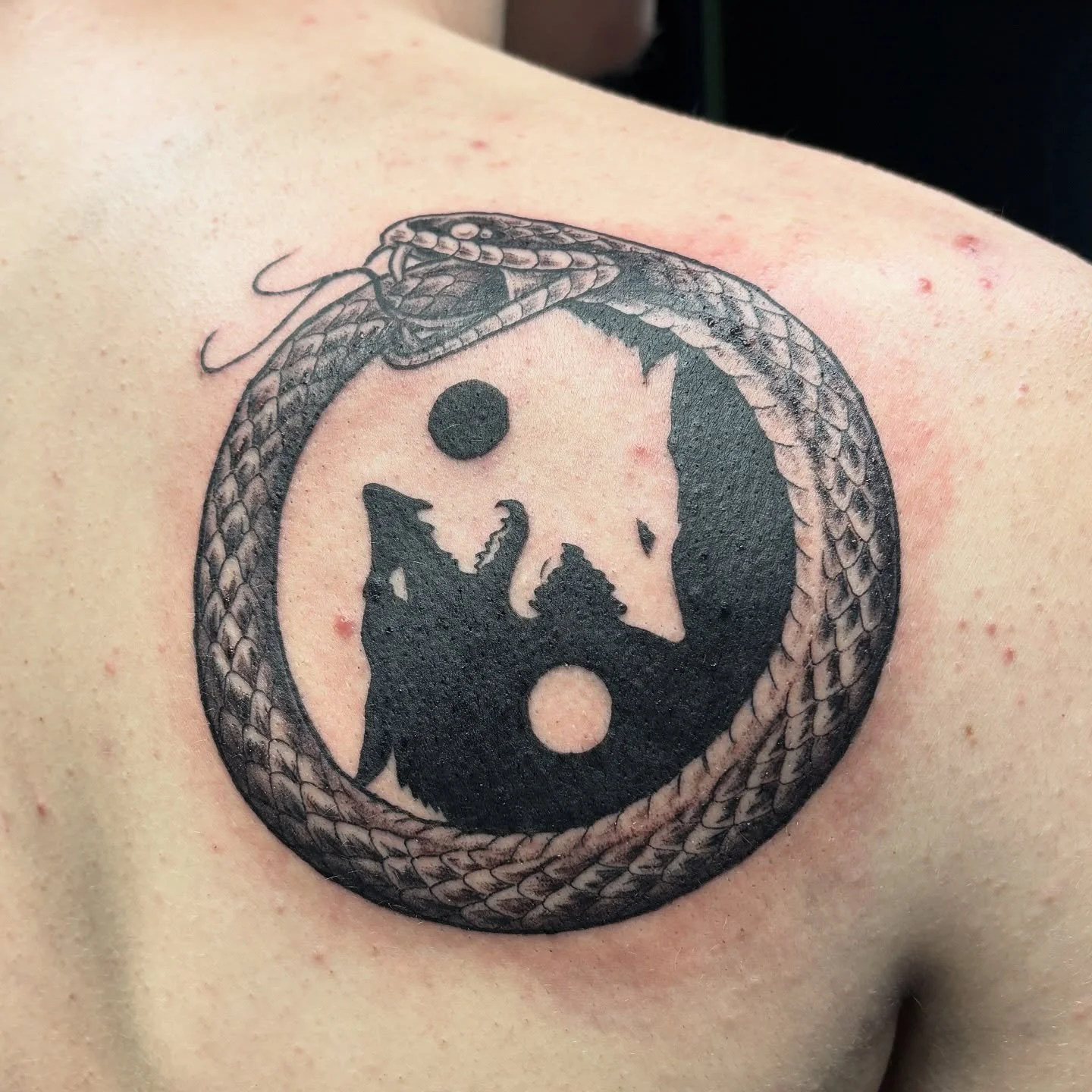 Done by @snailtoestattoo 🐍🐍 

-

#ouroborostattoo #yinyangtattoo #fortcollinstattoo #snaketattoo