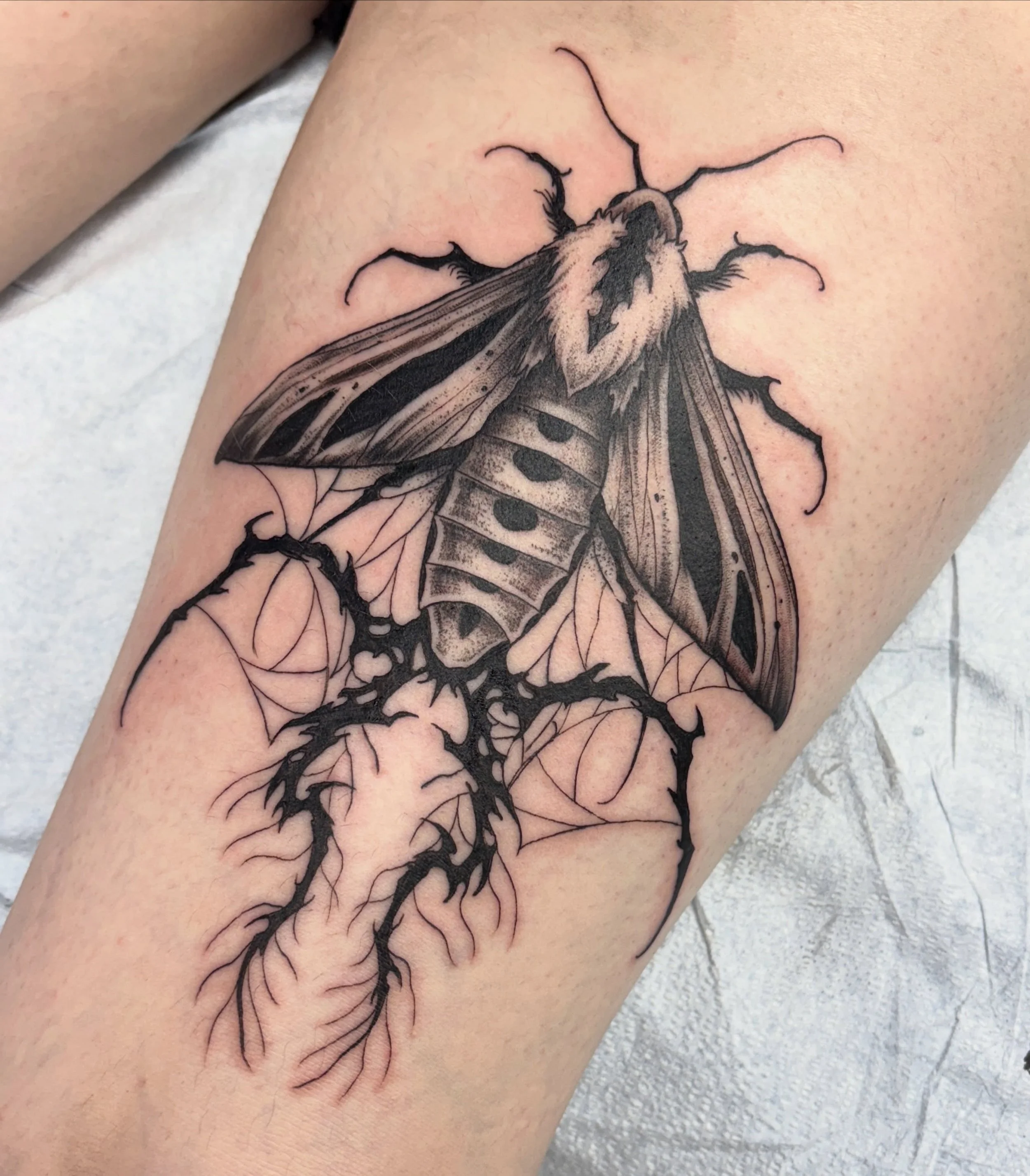 Baphomet moth done by @snailtoestattoo 

#mothtattoo #bugtattoo #fortcollinstattoo #fortcollins