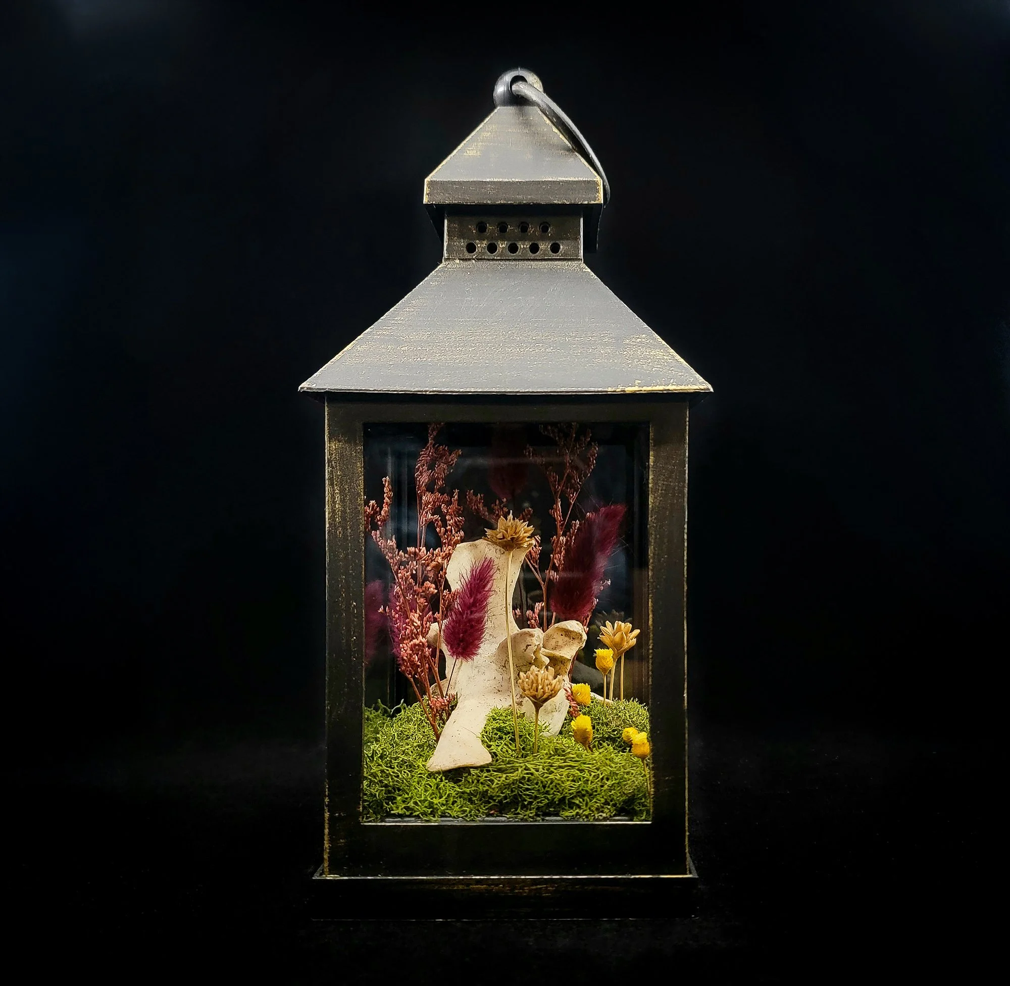 Cow Vertebrae_Cloche-Lantern_L.jpg