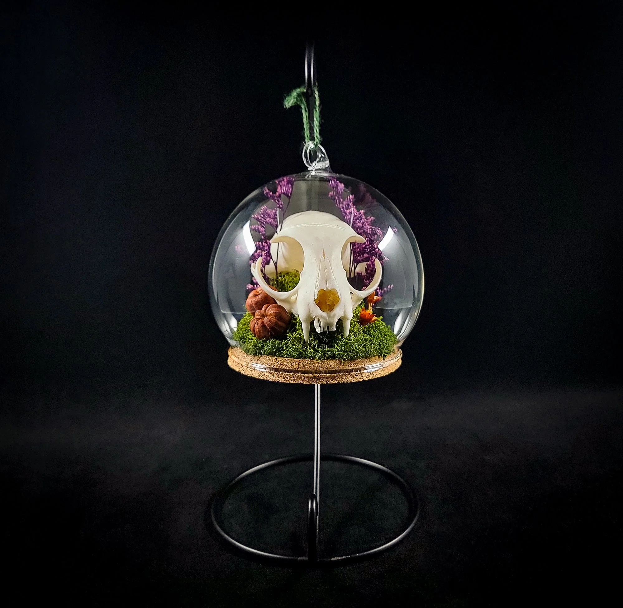 Cat Skull-2-Ornaments_F.jpg