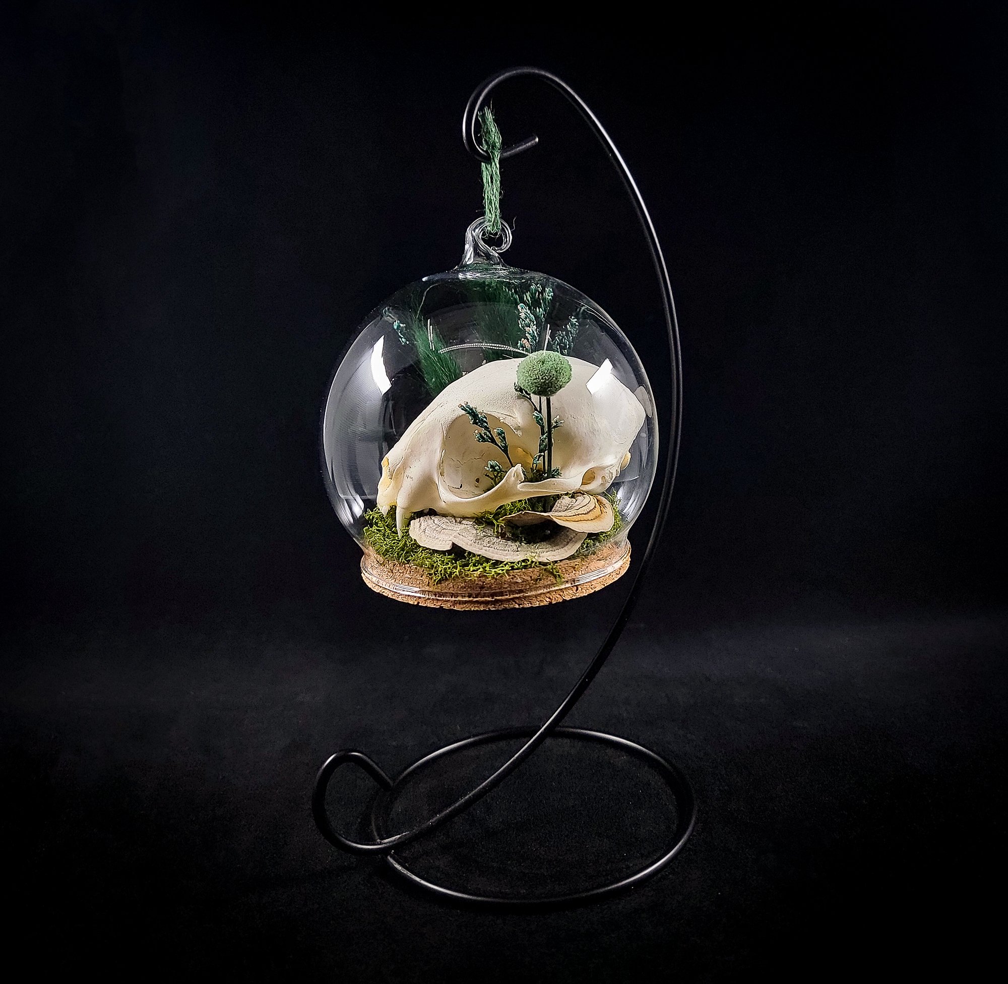 Cat Skull-1-Ornaments_R.jpg