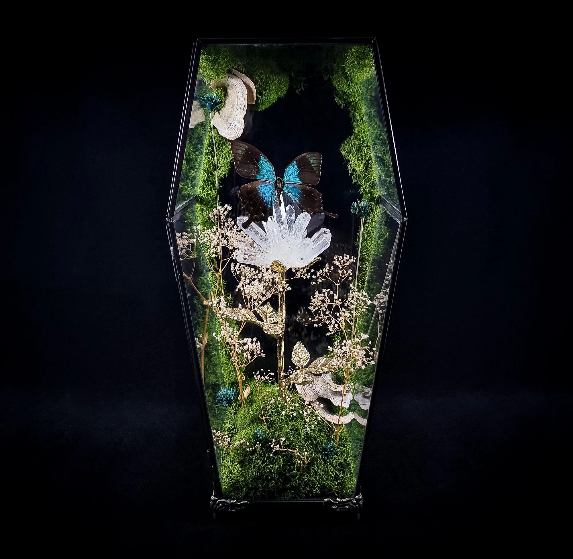 Moth Coffin Display with Crystal Flower