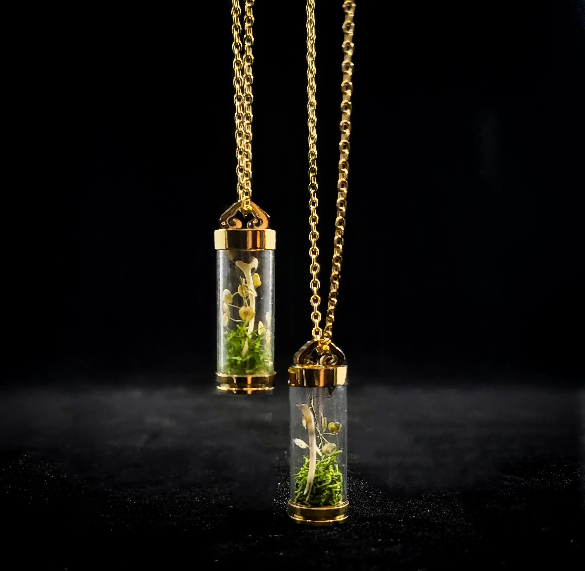 Glass Vial Necklace - Diamondback Rattlesnake Rib