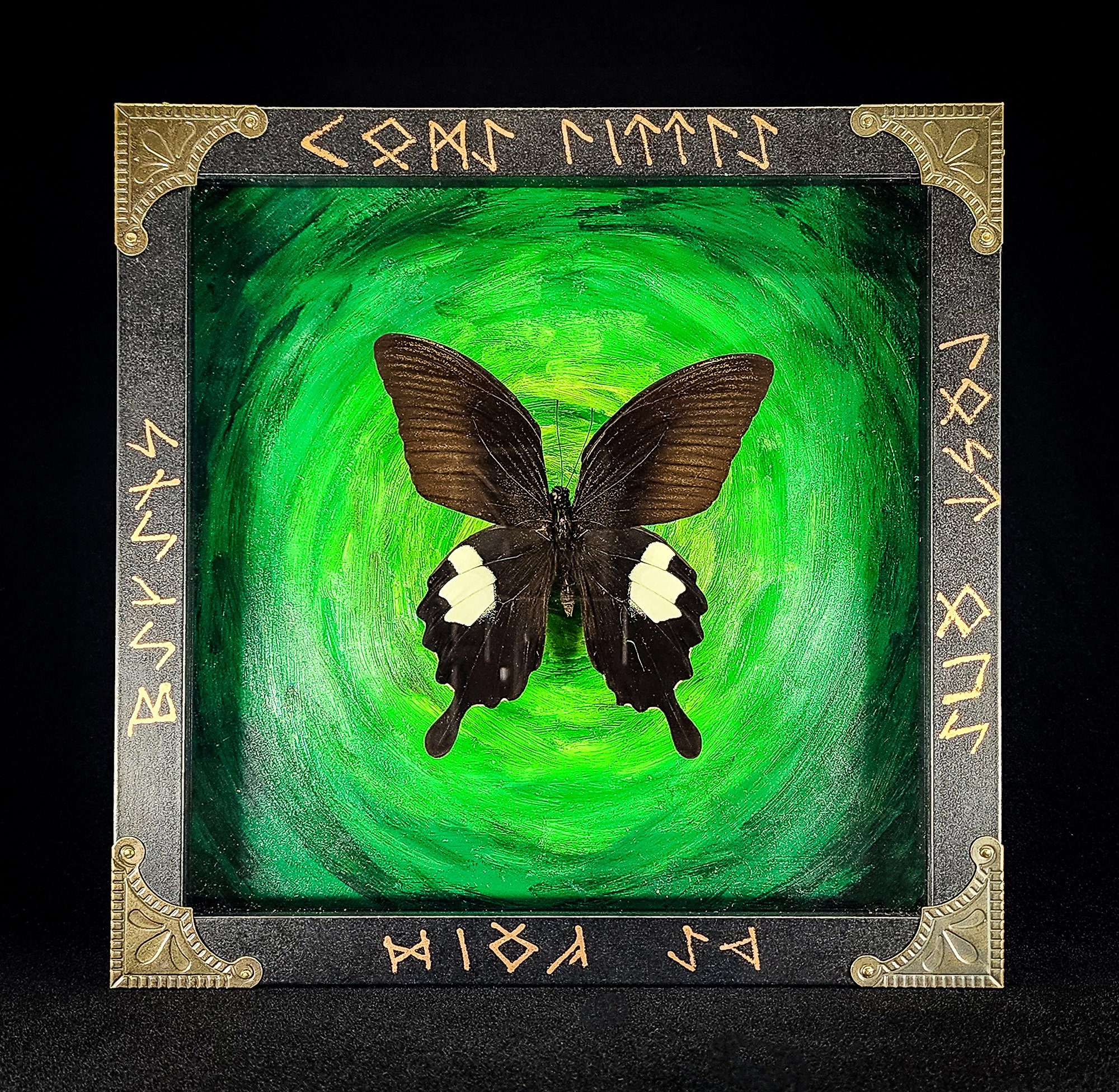 Butterfly_Black Frame 1_Specimen_8x8.jpg