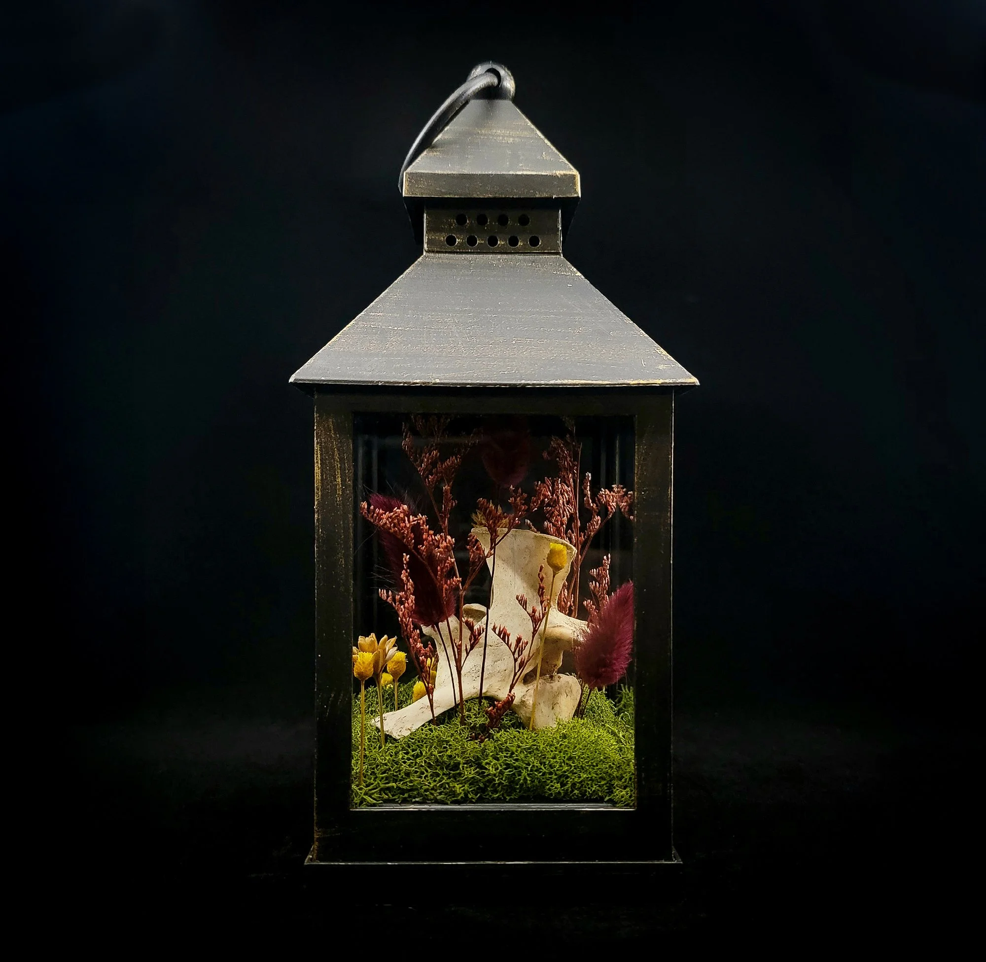 Cow Vertebrae_Cloche-Lantern_R.jpg