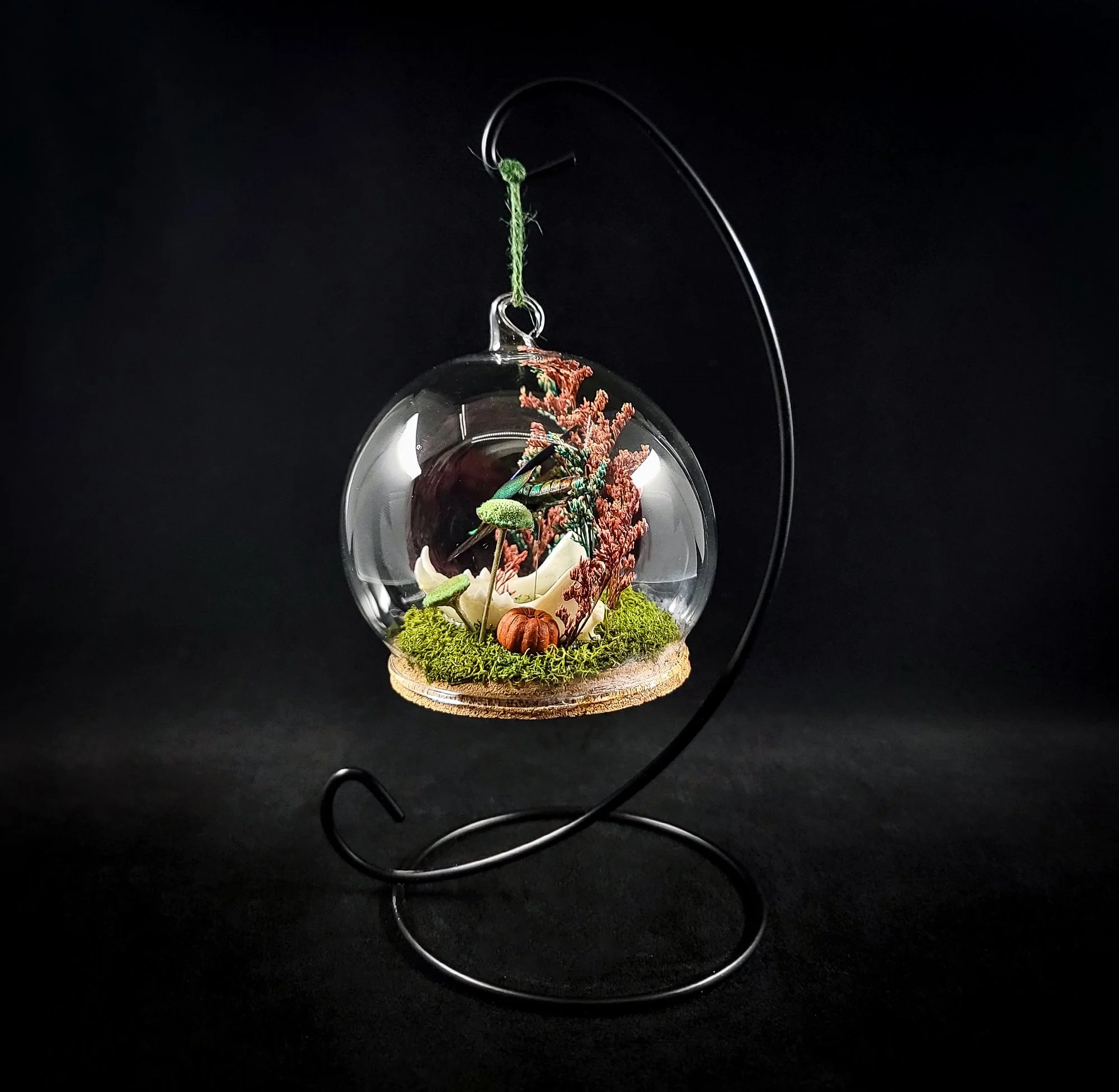 Cat Jaw-Beetle-Ornaments_R.jpg