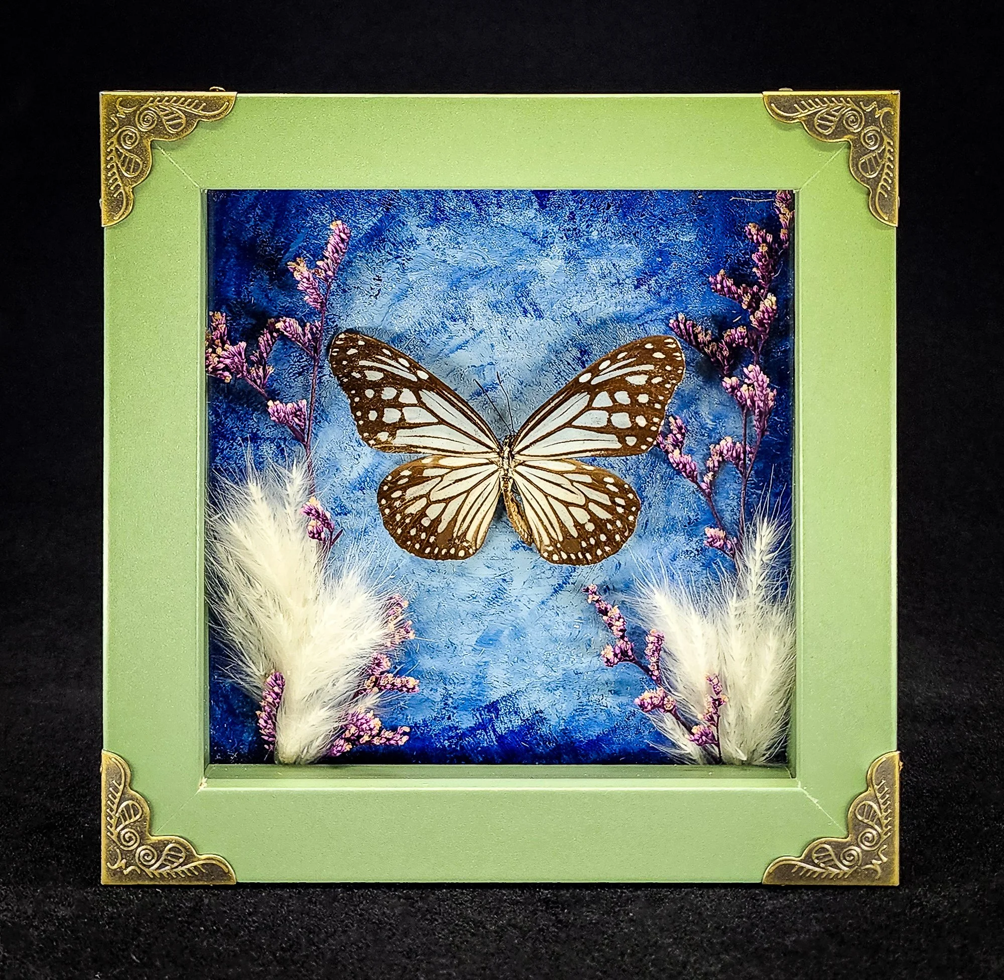 Butterfly_Green Frame 3_Specimen_5x5.jpg