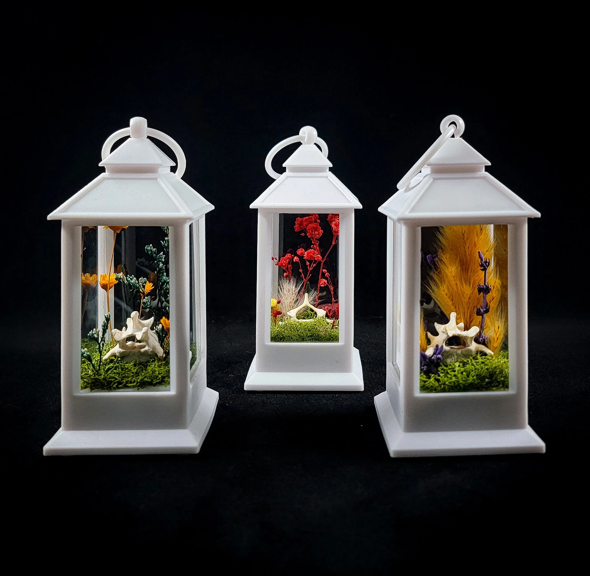 Vertebrae_Small Lantern White_All.jpg