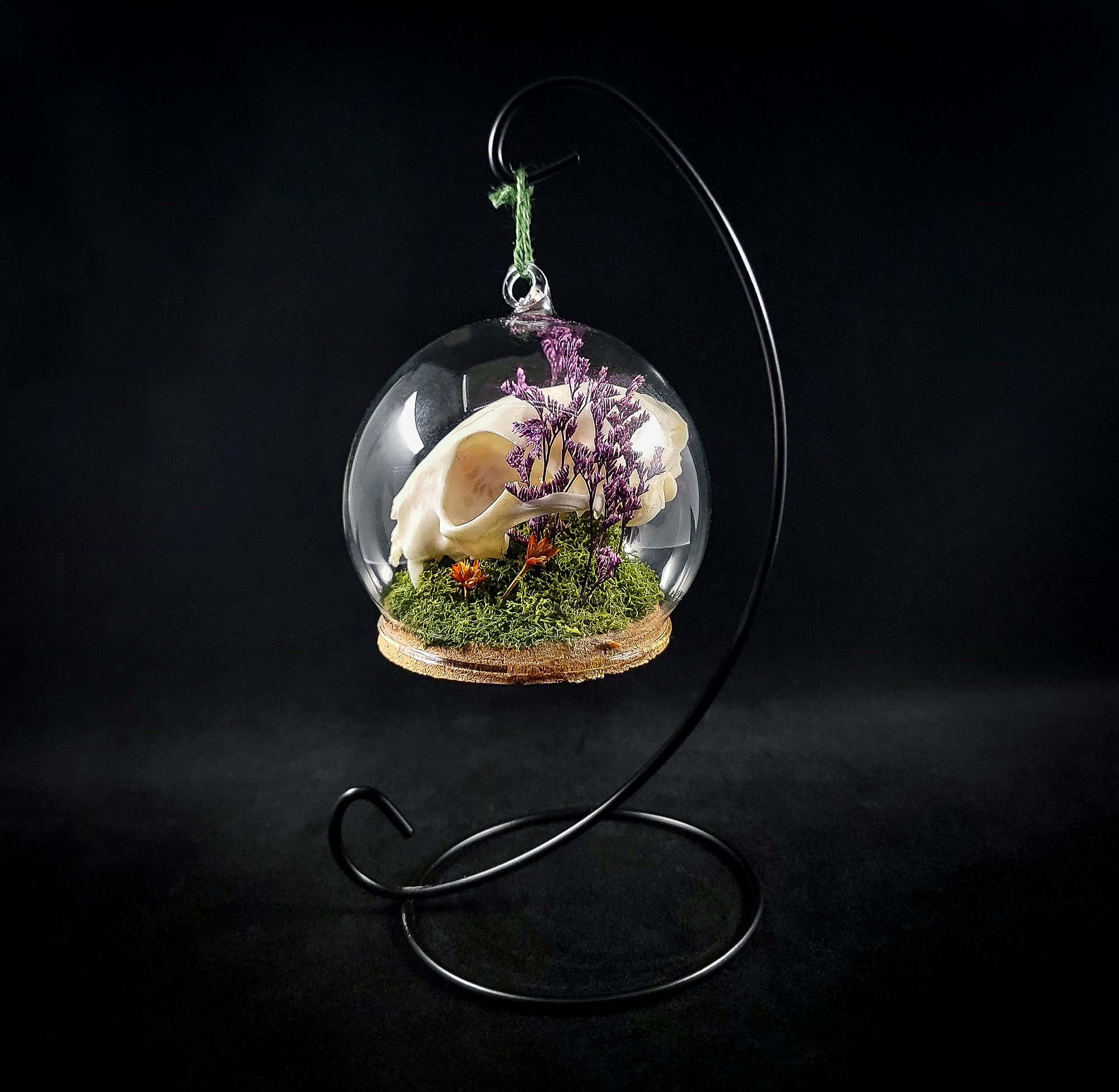 Cat Skull-2-Ornaments_R.jpg