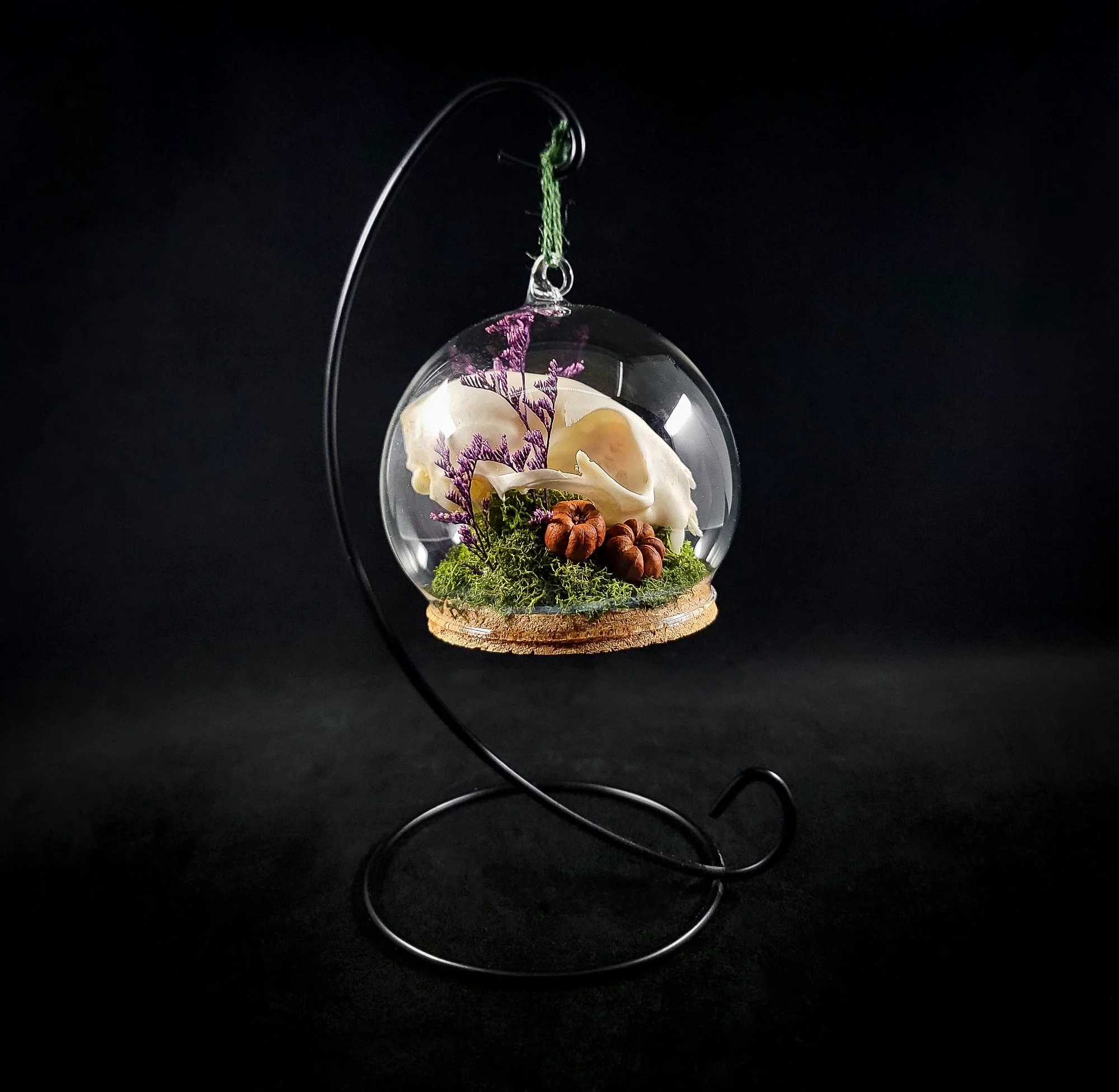 Cat Skull-2-Ornaments_L.jpg