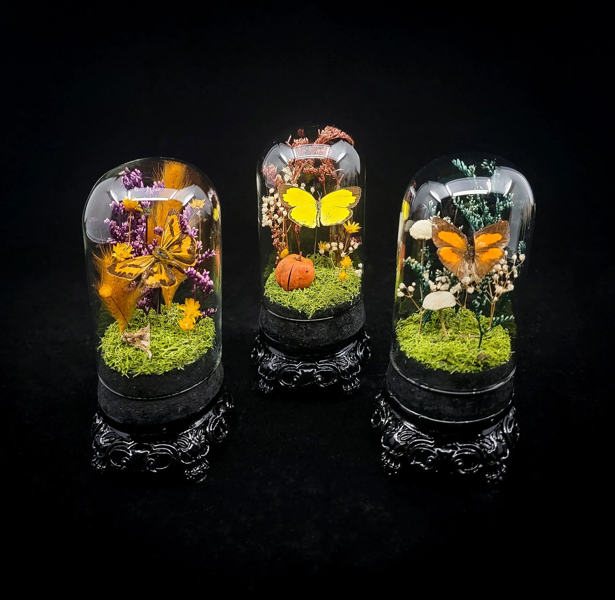 Butterfly_Small Domes_Stand_ALL.jpg