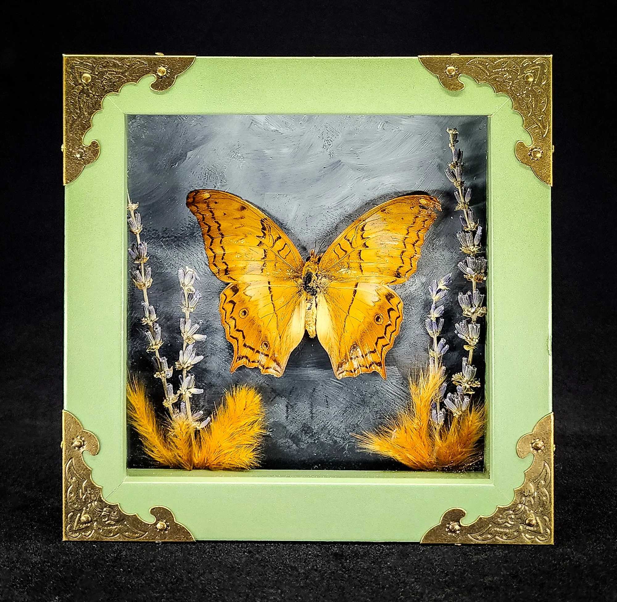 Butterfly_Green Frame 2_Specimen_5x5.jpg