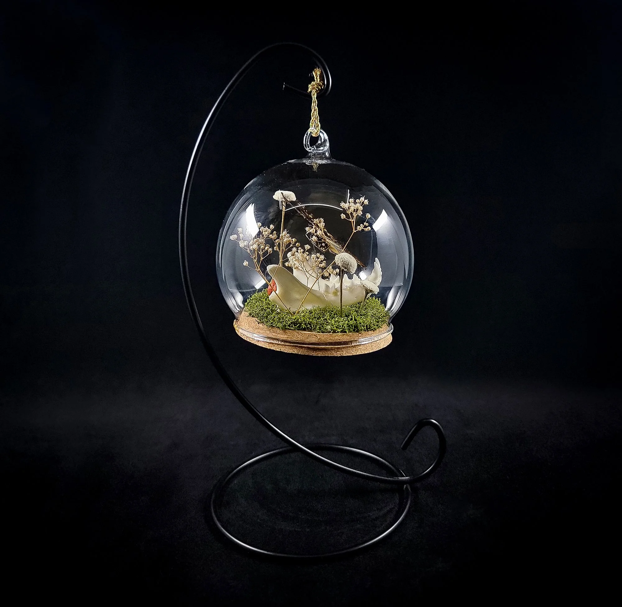 Cat Jaw-Butterfly-Ornaments_L.jpg