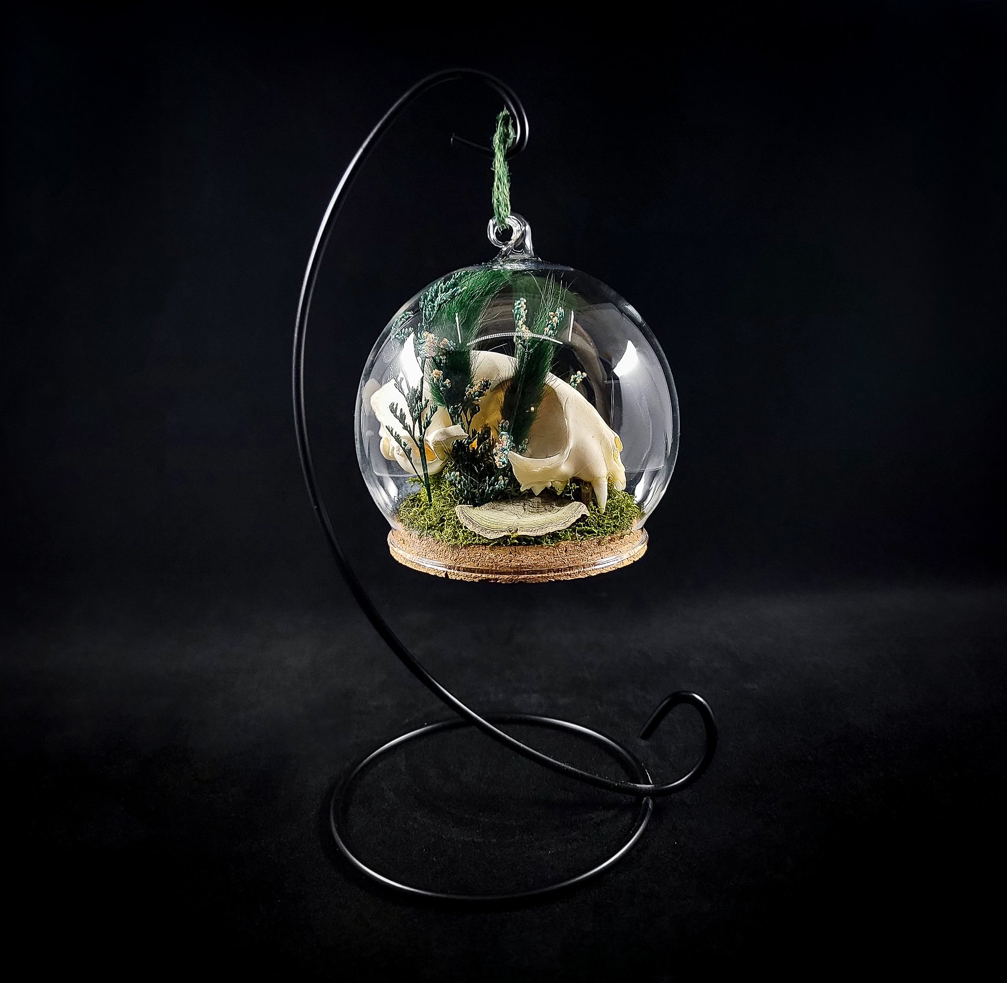 Cat Skull-1-Ornaments_L.jpg