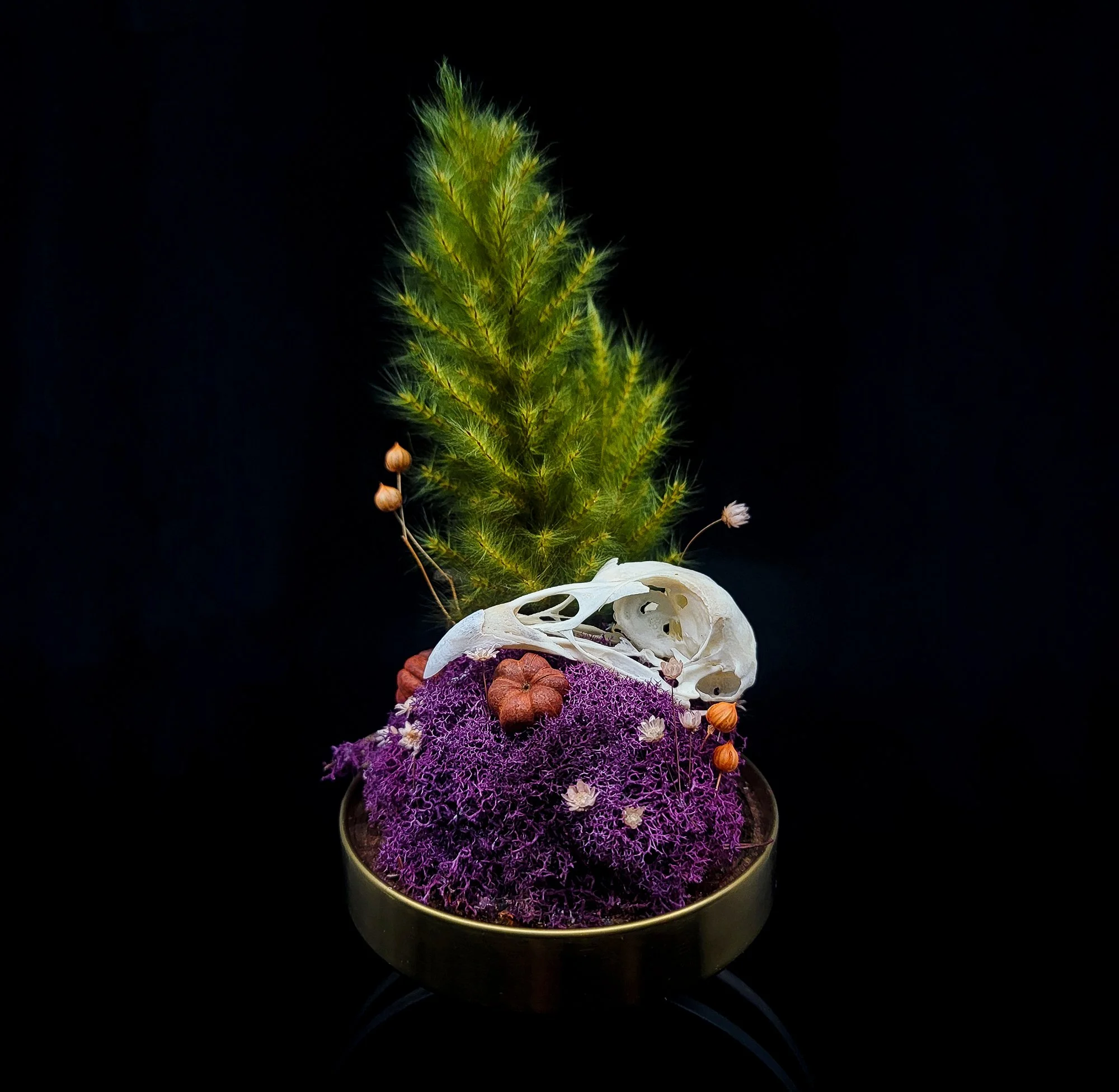 Carrion Crow-Floral-Cloche_Close-2.jpg