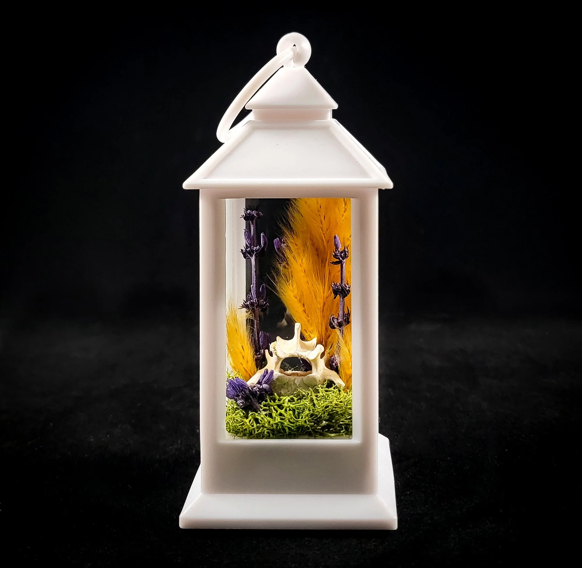 Vertebrae_Small Lantern White.jpg
