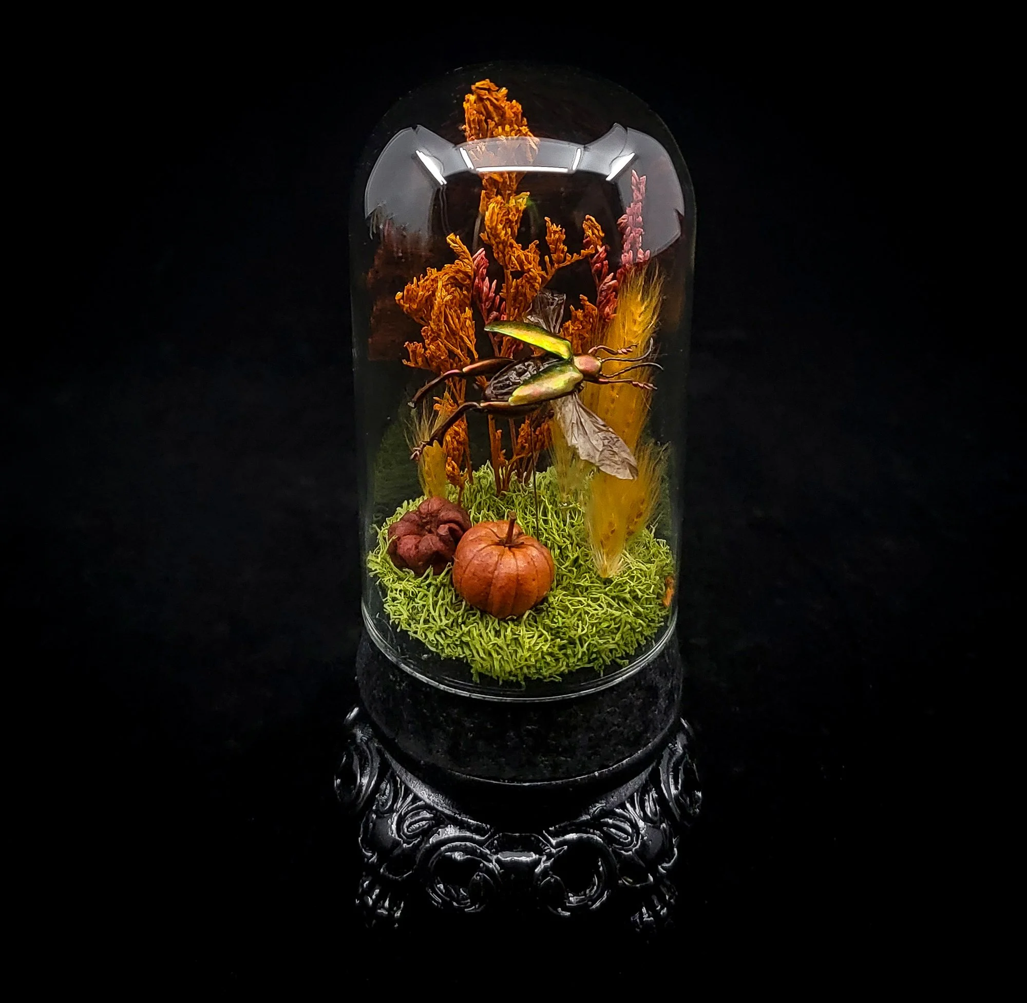 Beetle_Small Domes_Stand-1.jpg