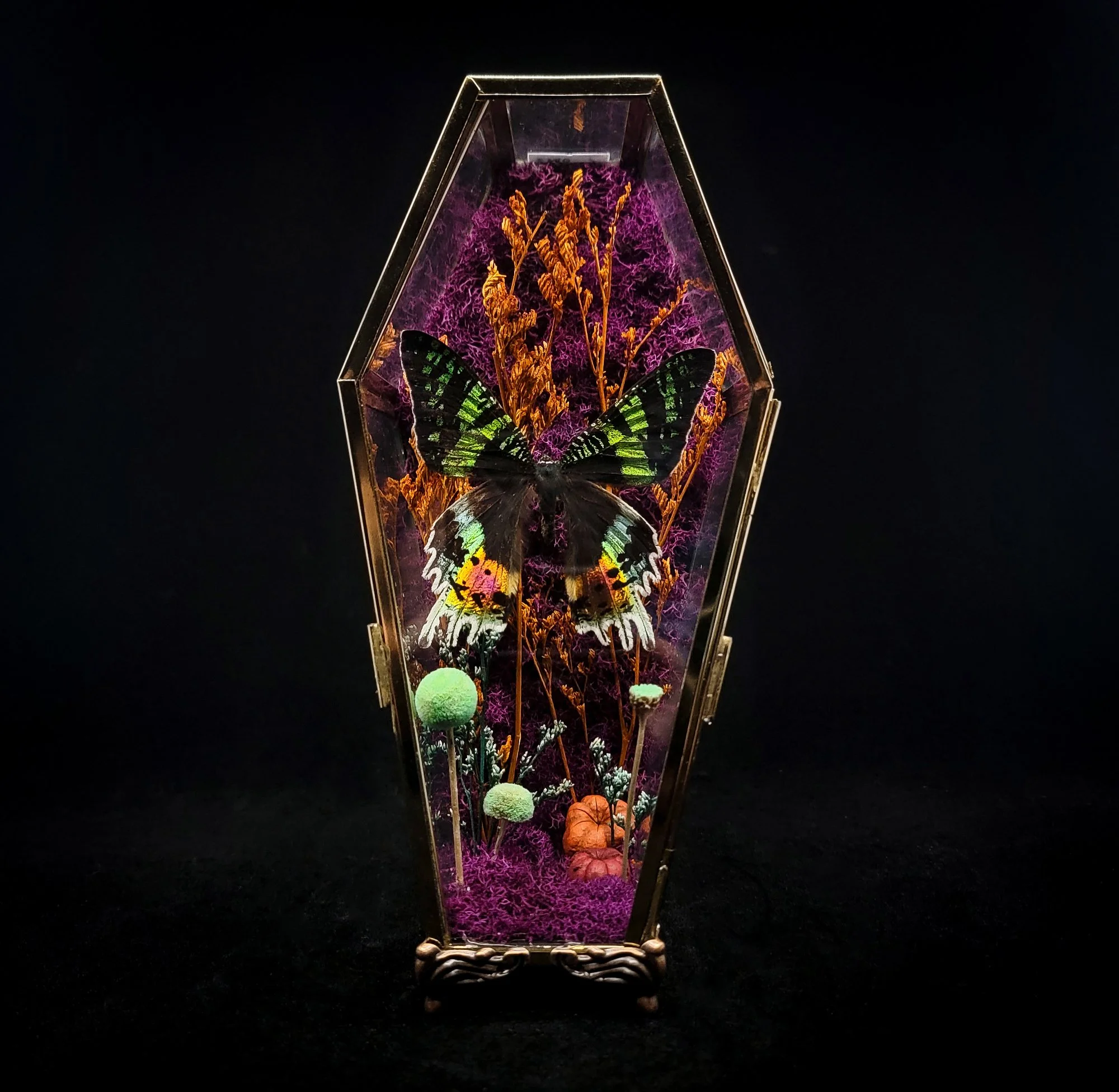 Butterfly Coffins_Floral-Cloche_All_2.jpg