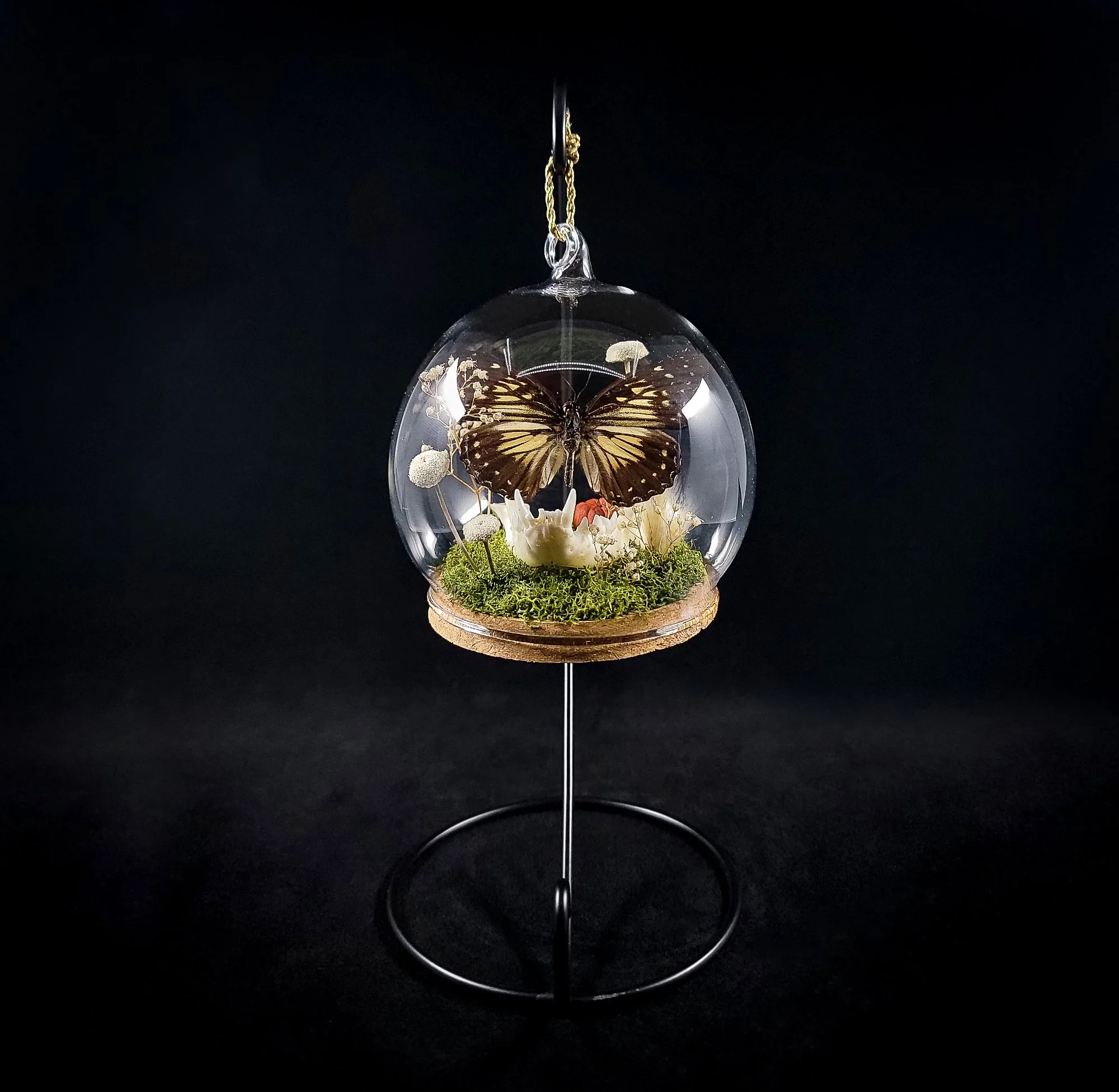 Cat Jaw-Butterfly-Ornaments_F.jpg