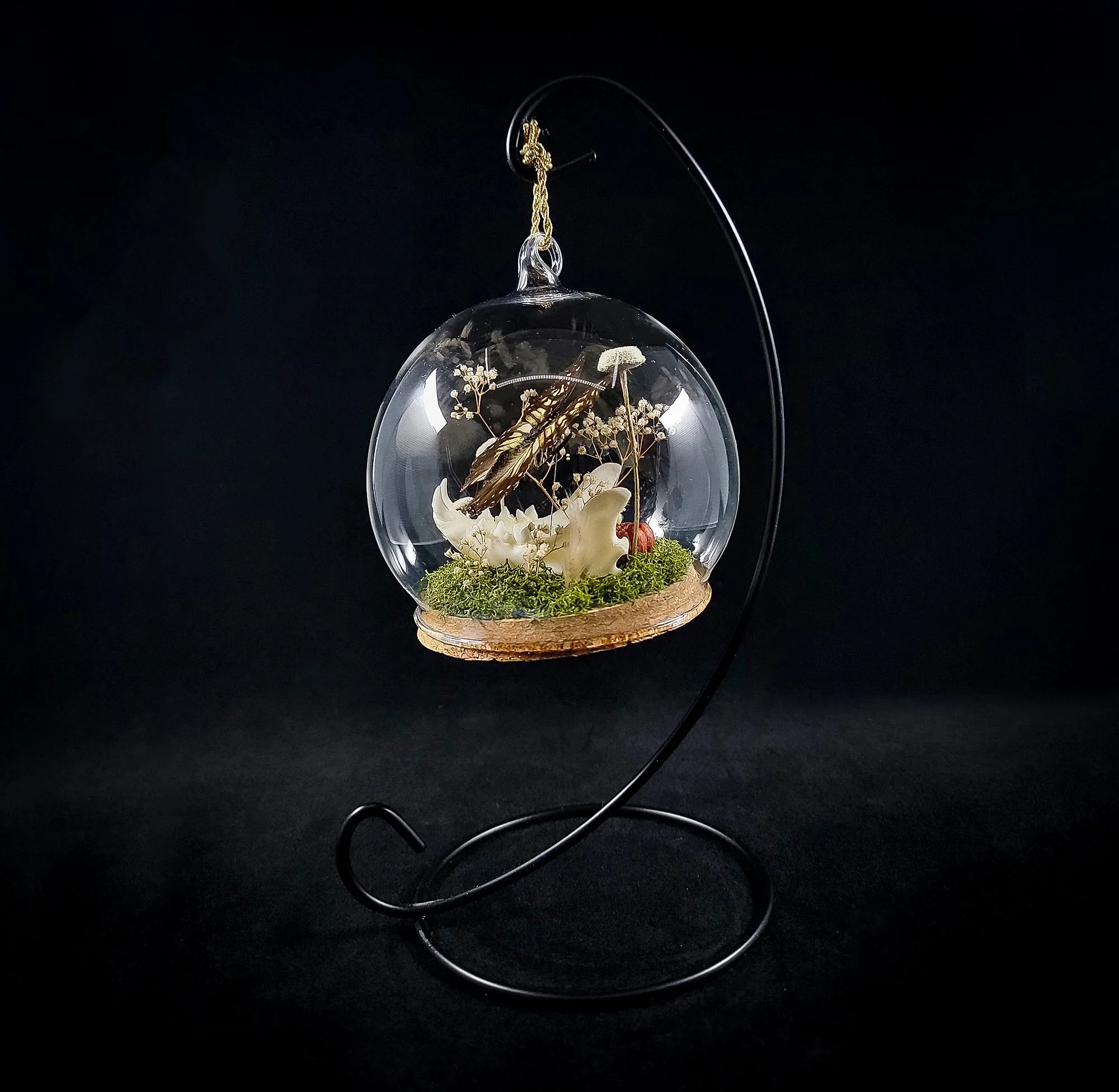 Cat Jaw-Butterfly-Ornaments_R.jpg