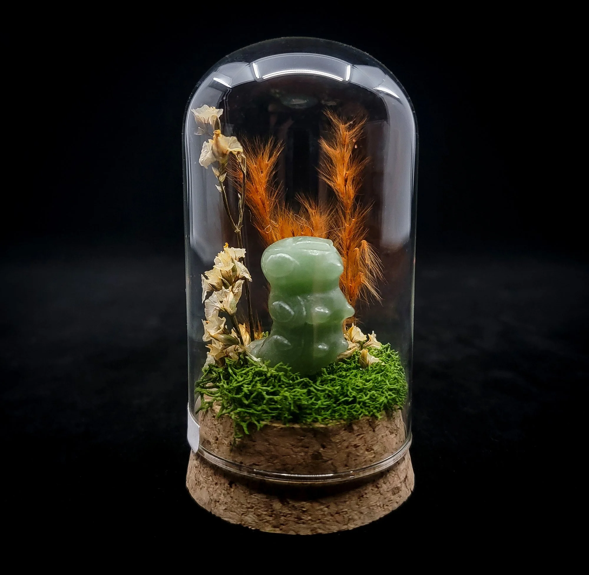 Caterpie Pokemon Dome