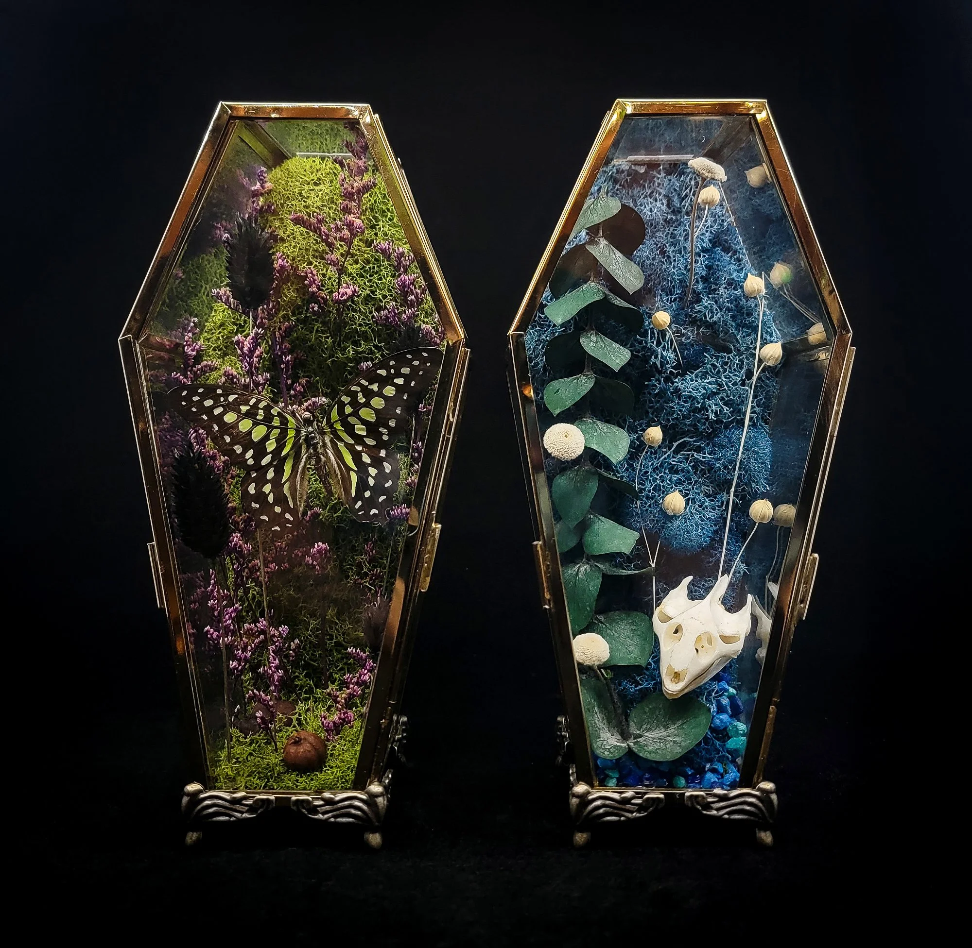 Coffin Terrarium