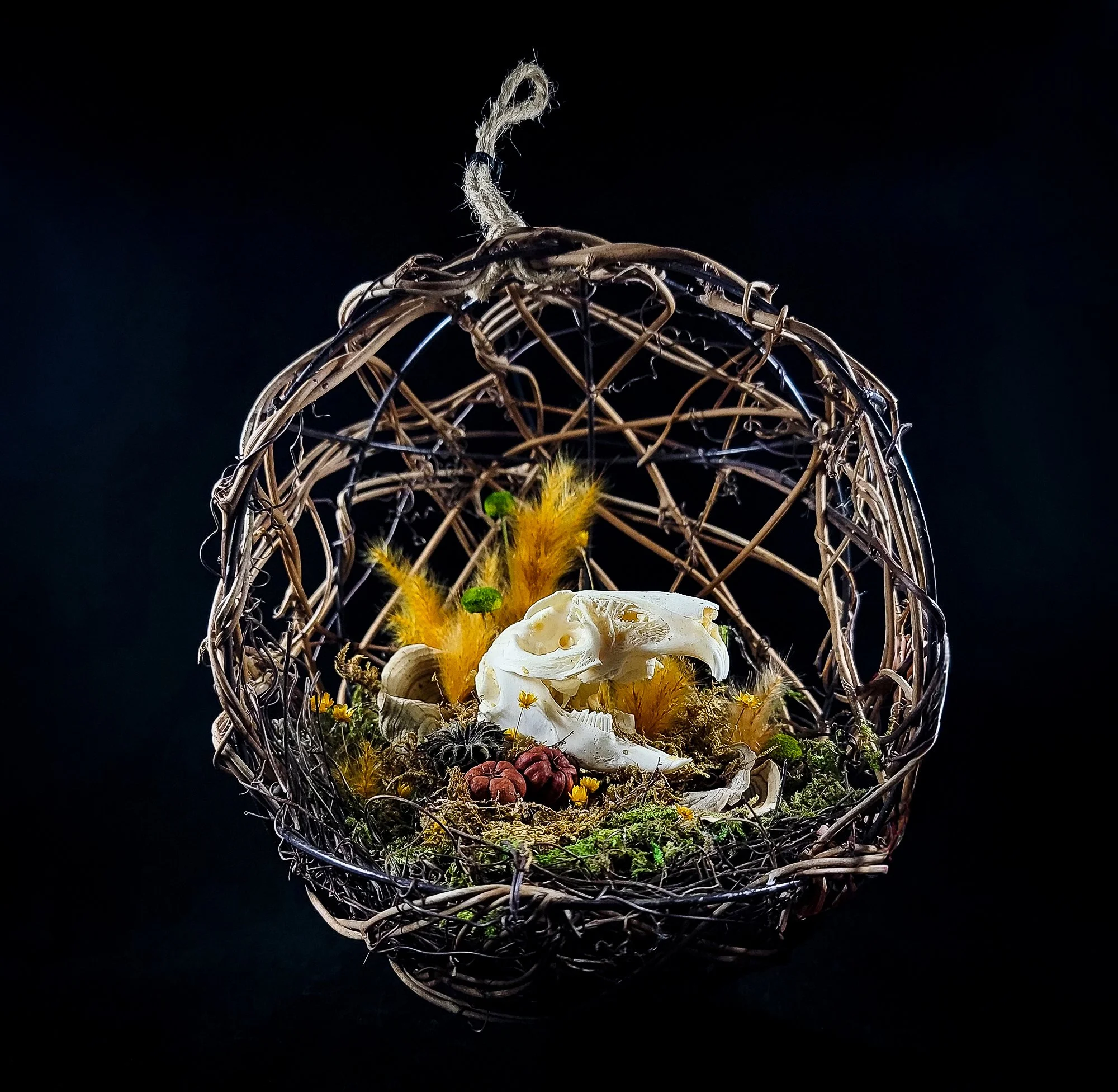 Hanging Specimen Basket