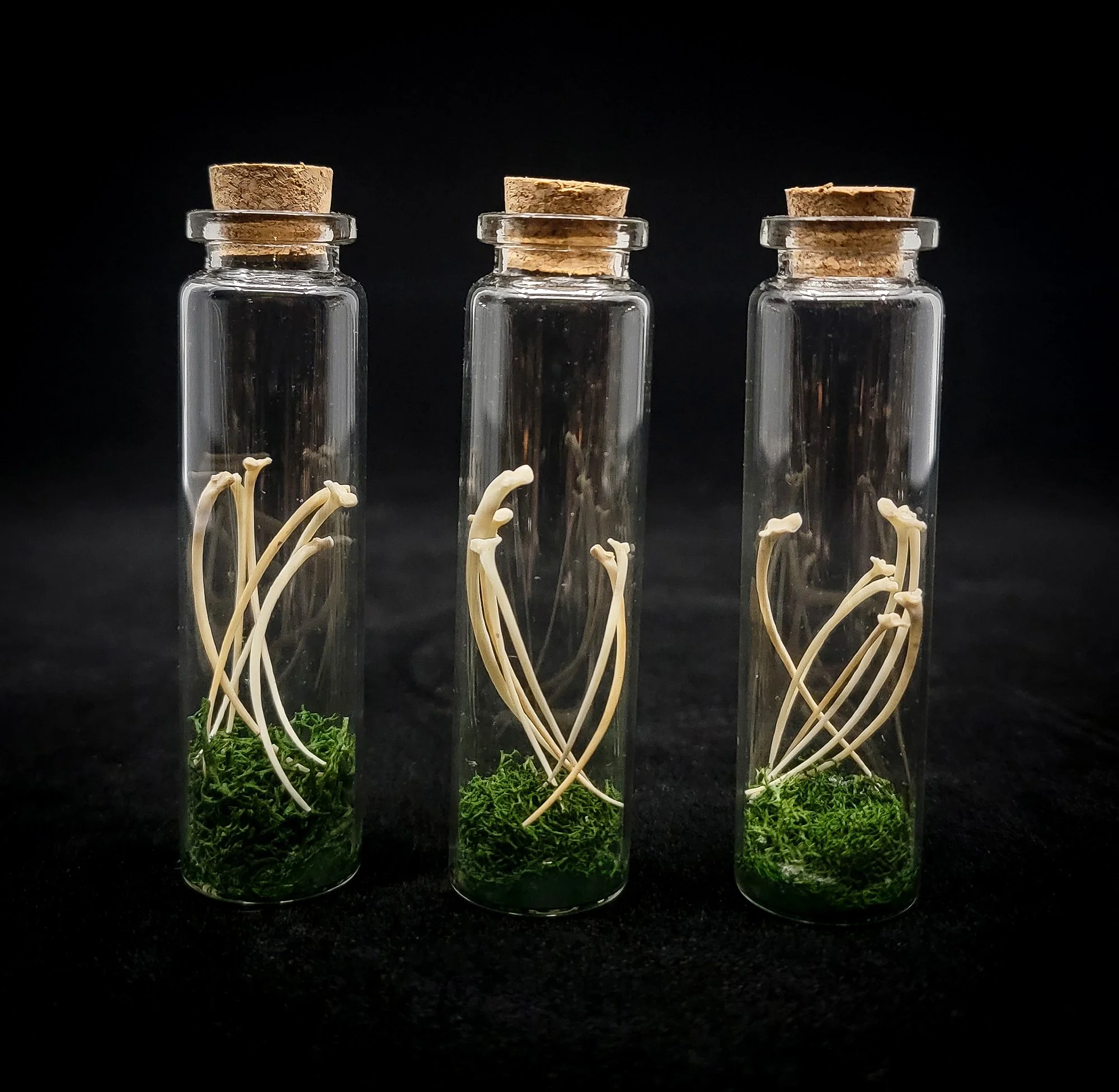 Rattle Snake Ribs-Small Bottle_Trinkets-2.jpg