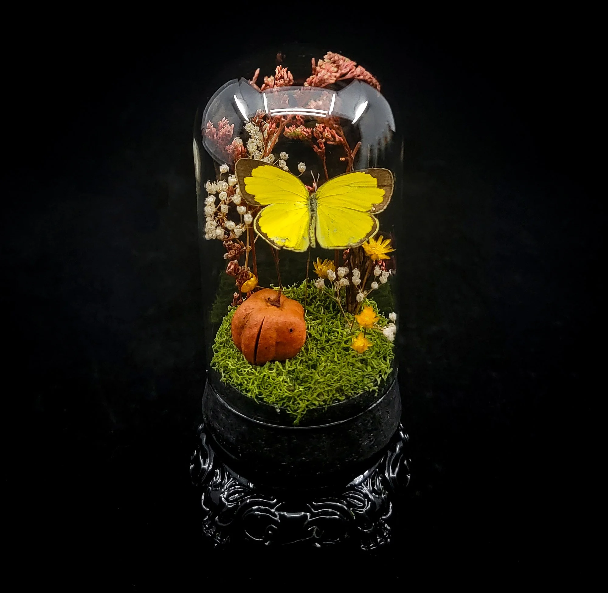 Butterfly_Small Domes_Stand-2.jpg