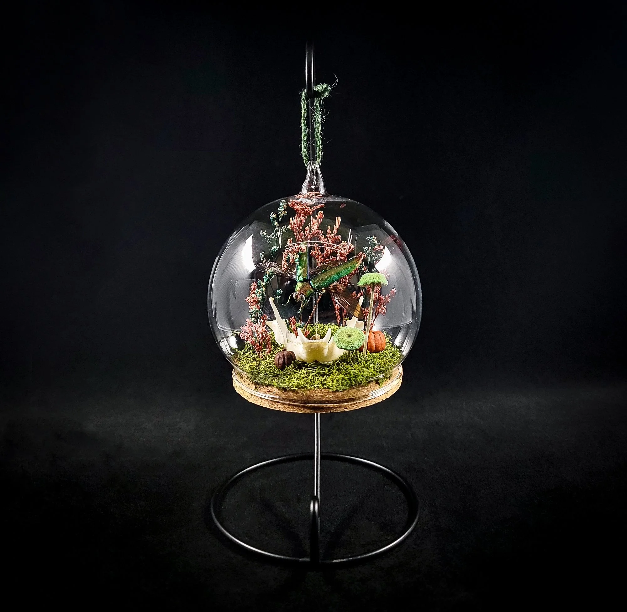 Cat Jaw with Insect Ornament