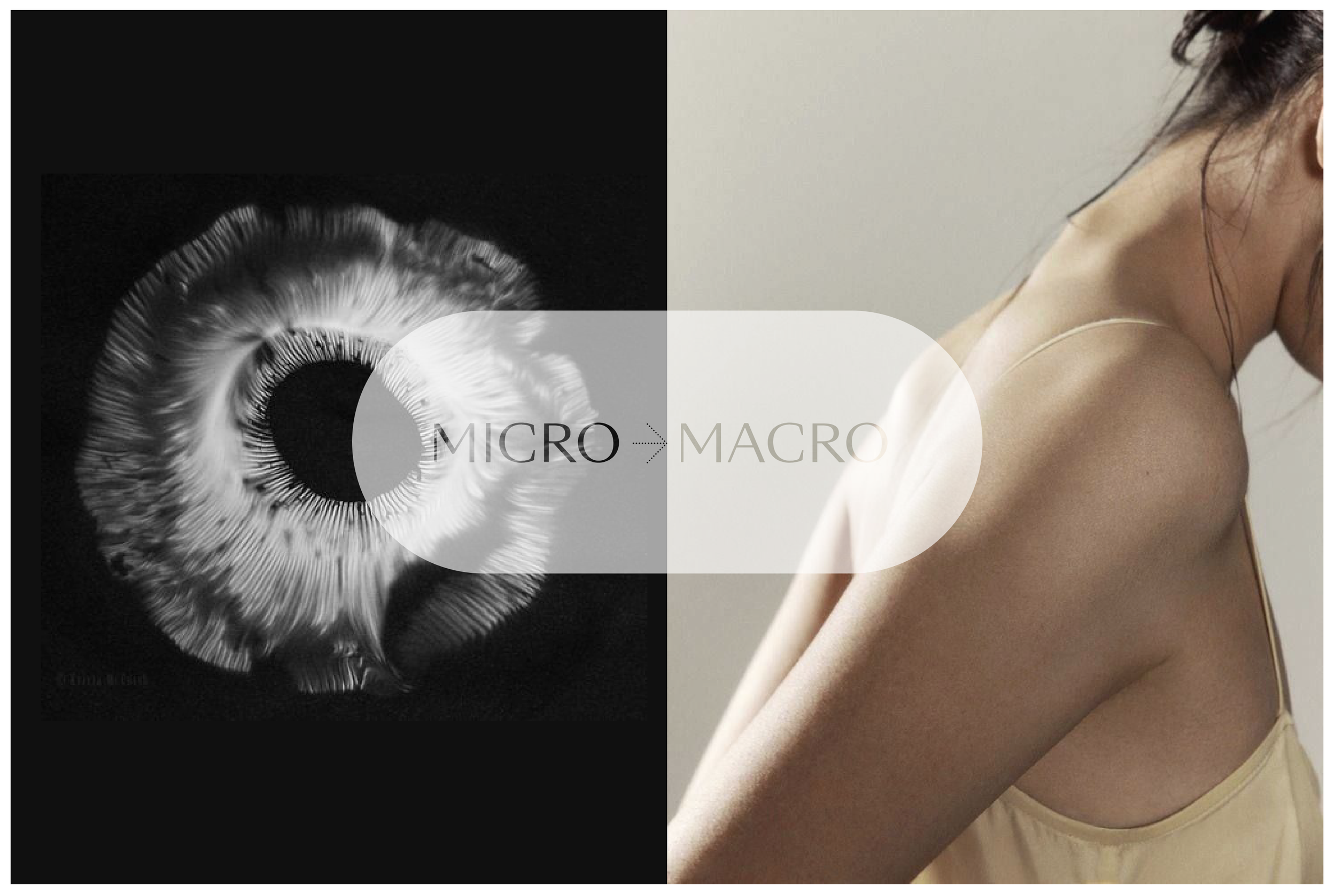 Screenshot 2026-02-11 at 4.50.37 pm.png