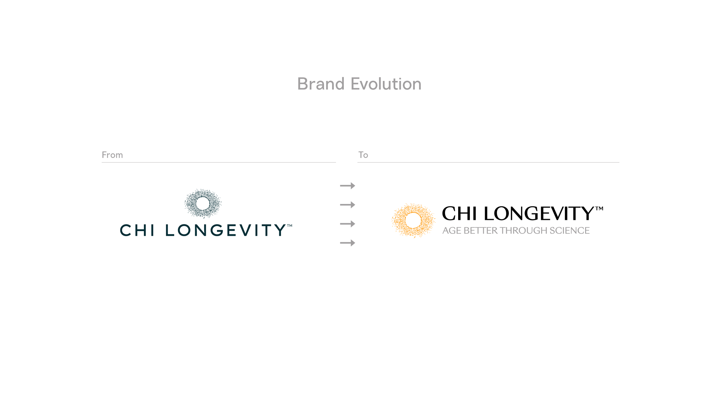 Logo evolution