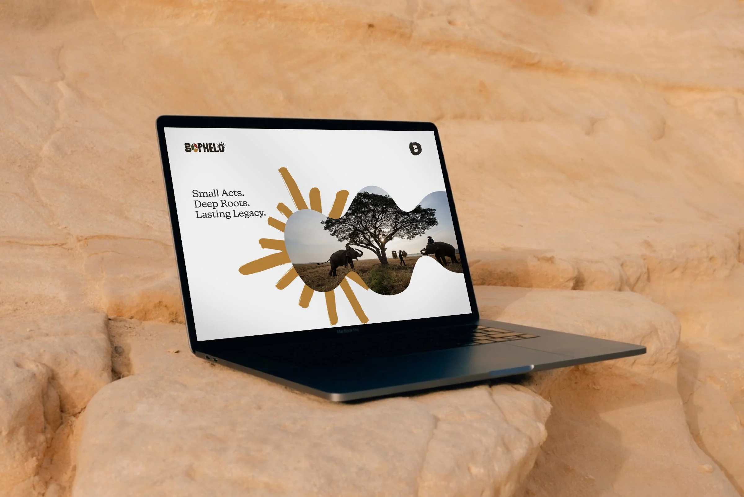 Laptop mockup LR copy.jpg