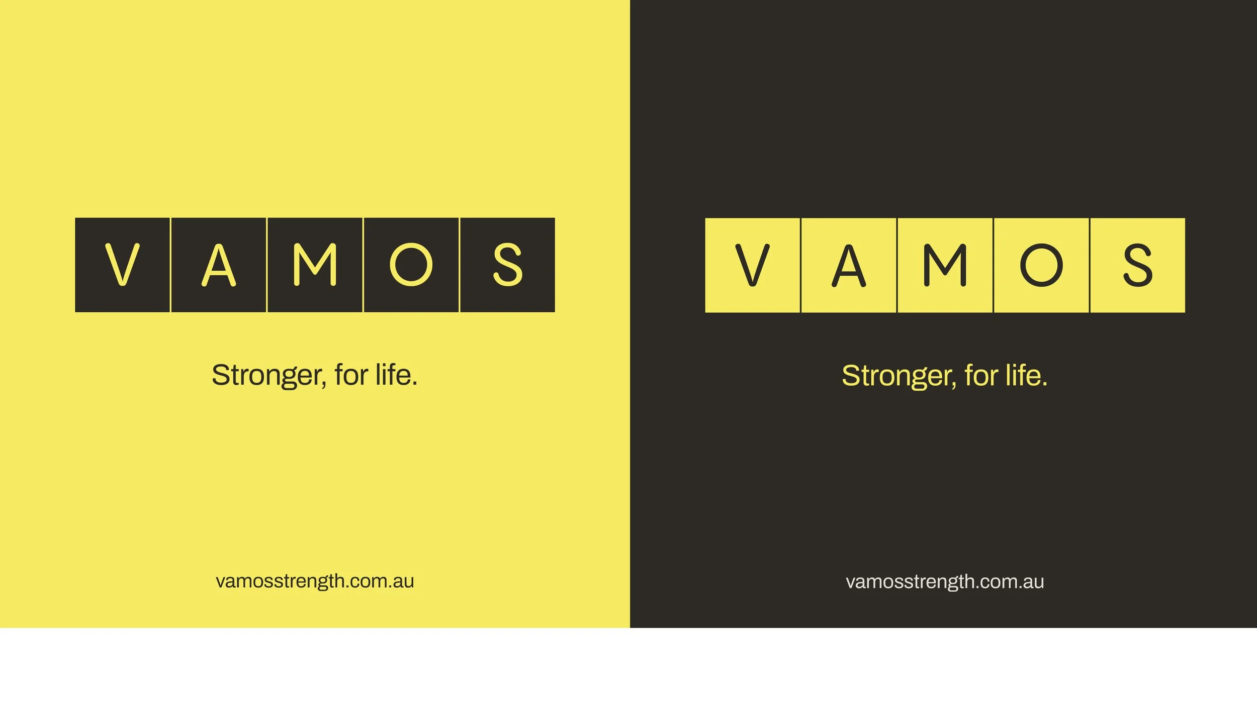 Make Tomorrow™ VAMOS Case Study 2.jpg